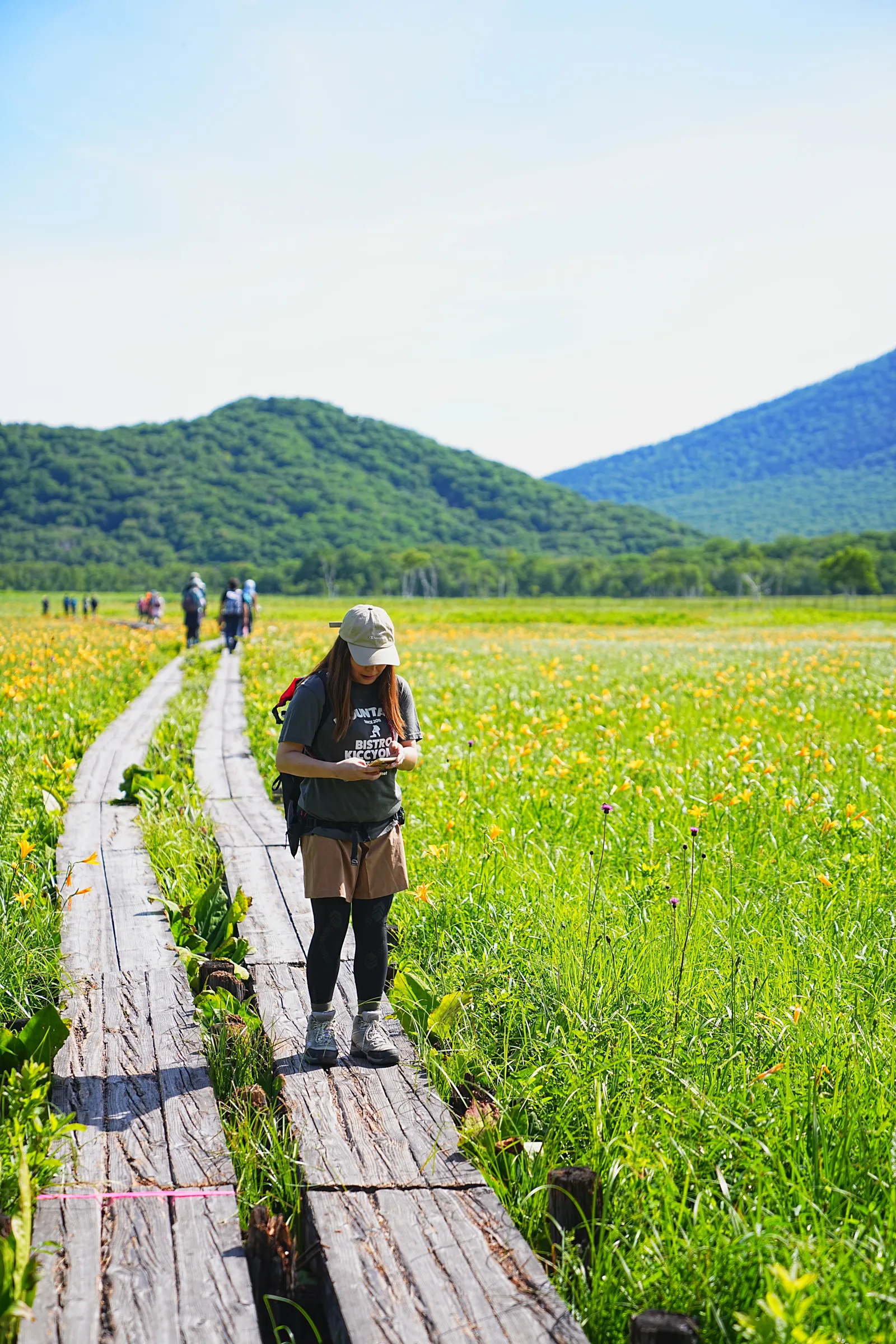 ニッコウキスゲが見頃！夏の尾瀬ハイキング。