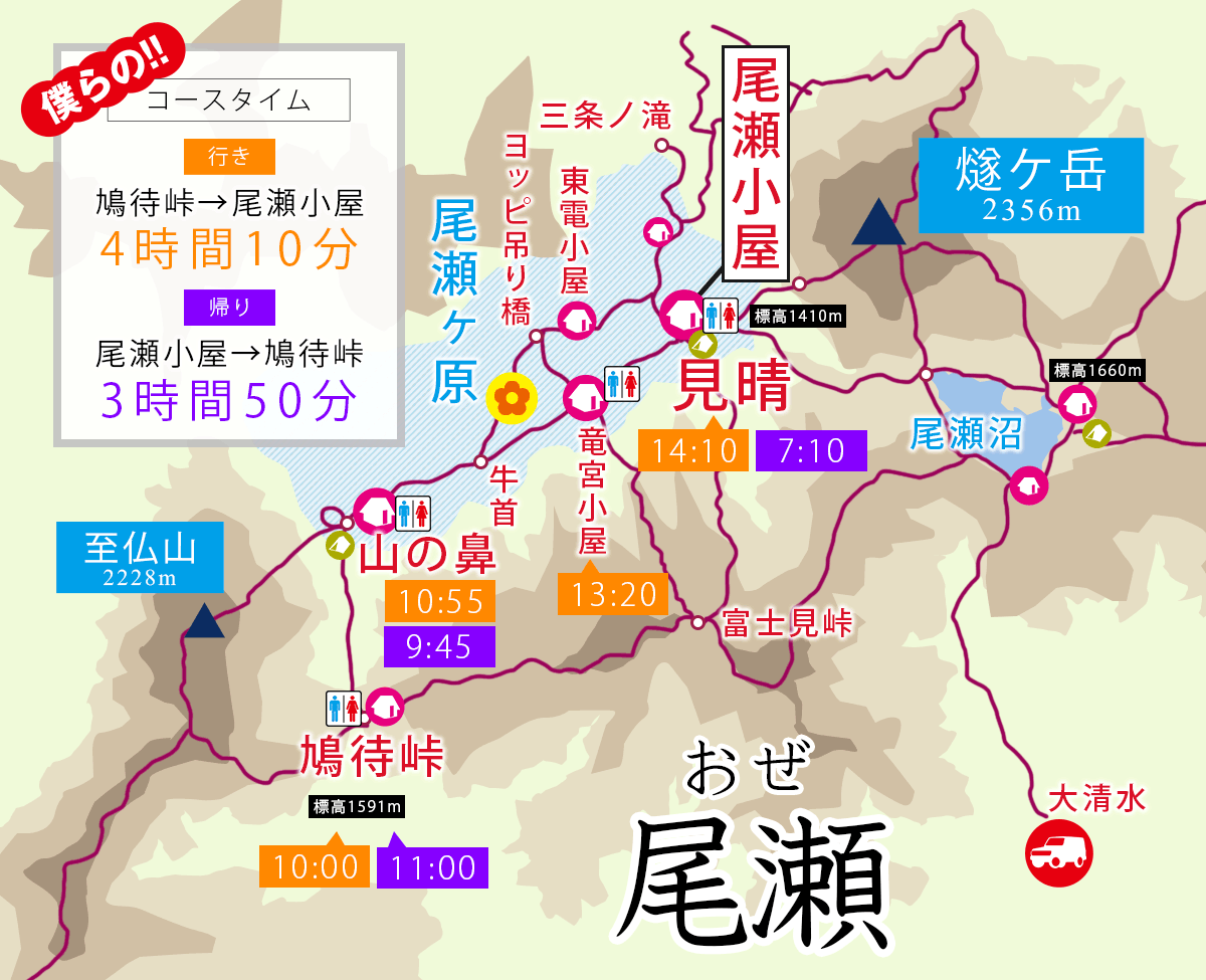 ニッコウキスゲが見頃！夏の尾瀬ハイキング。