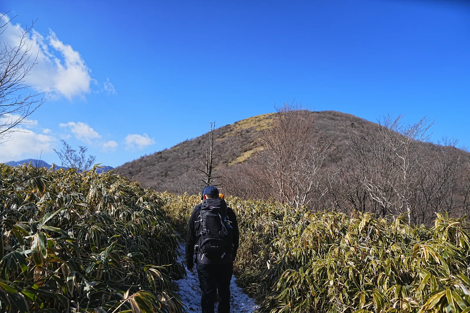 巨大な富士山を見に、山梨・竜ヶ岳へ