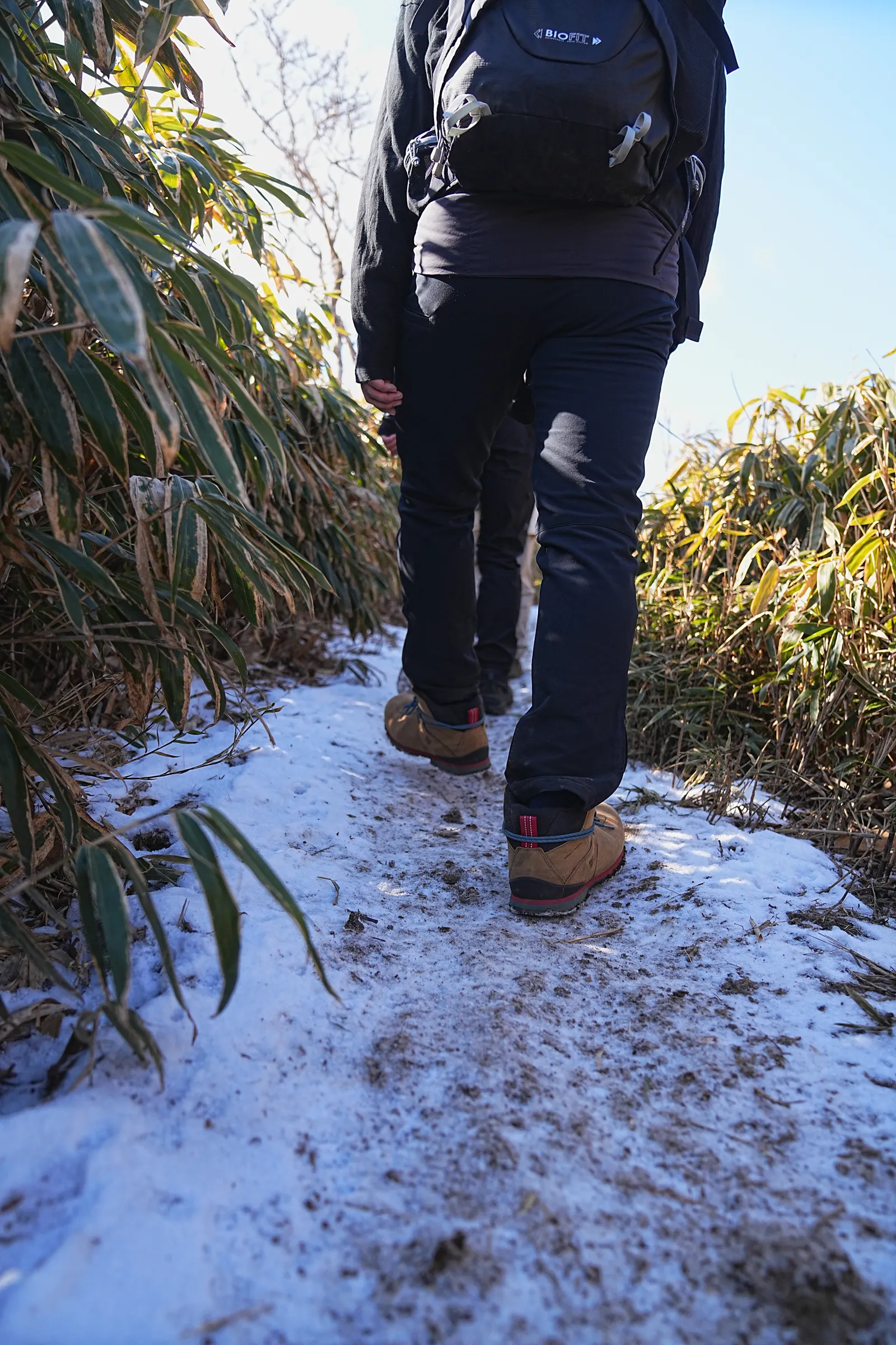 巨大な富士山を見に、山梨・竜ヶ岳へ