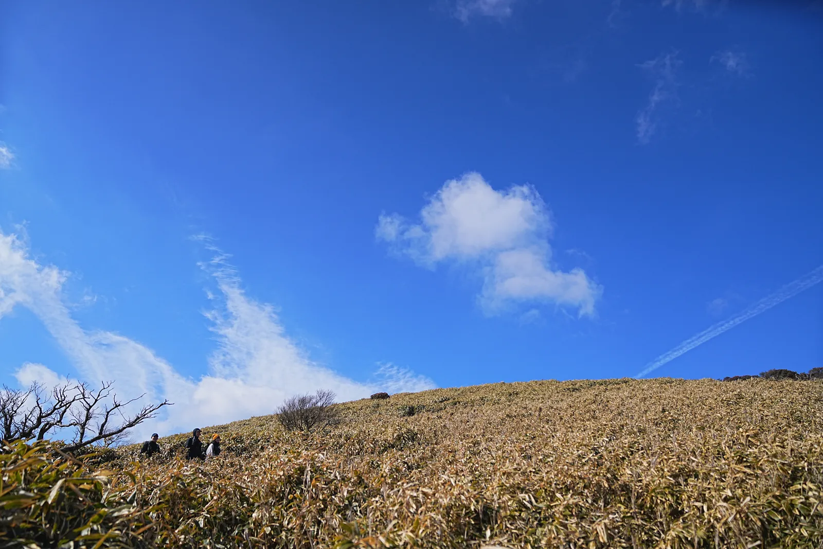 巨大な富士山を見に、山梨・竜ヶ岳へ