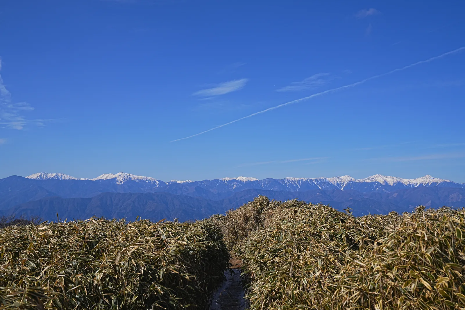 巨大な富士山を見に、山梨・竜ヶ岳へ