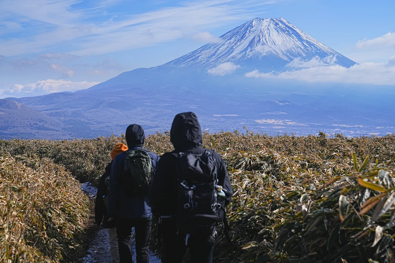 巨大な富士山を見に、山梨・竜ヶ岳へ