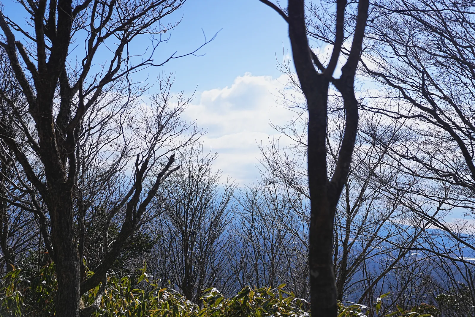 巨大な富士山を見に、山梨・竜ヶ岳へ