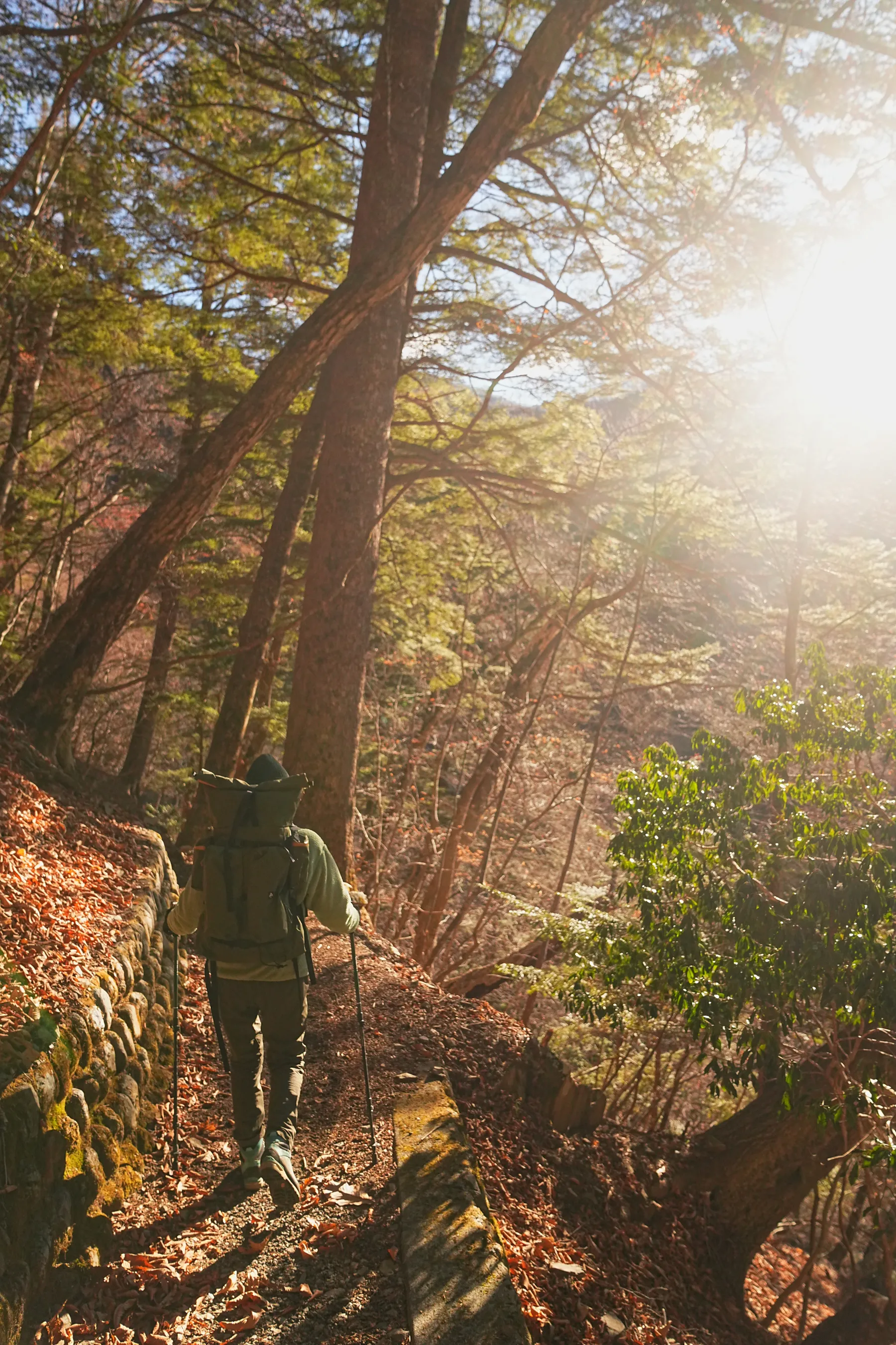 奥多摩の秘湯。三条の湯に泊まる山旅。