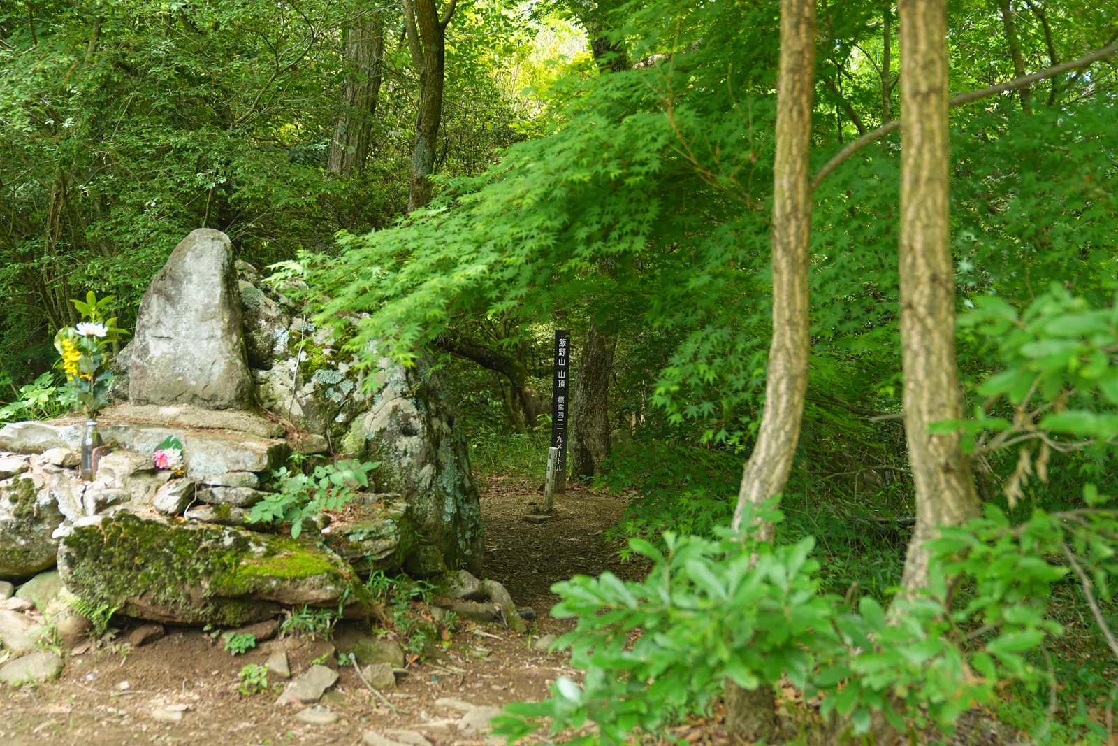 讃岐富士 飯野山ハイキング