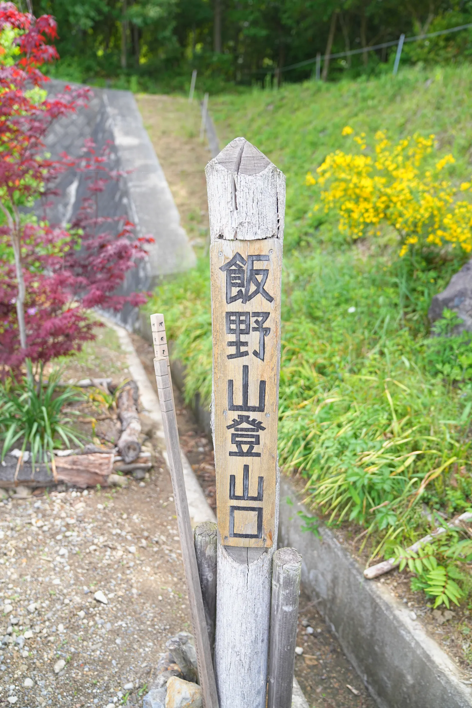 讃岐富士 飯野山ハイキング