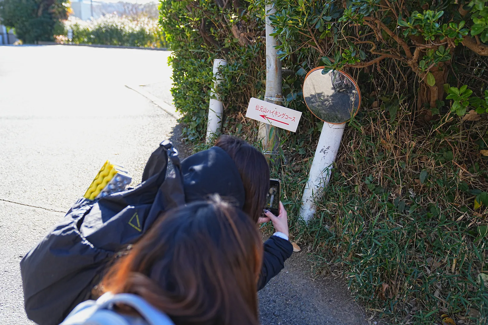 真っ青な海と富士山を眺める葉山・仙元山ハイキング