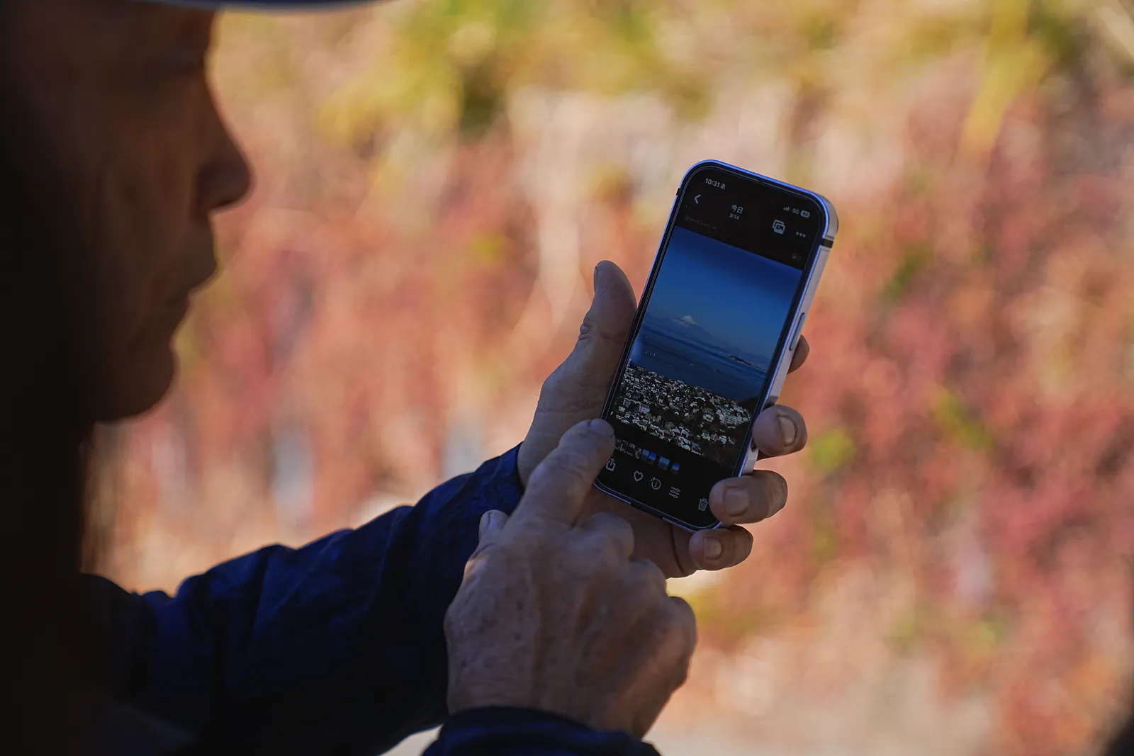 真っ青な海と富士山を眺める葉山・仙元山ハイキング
