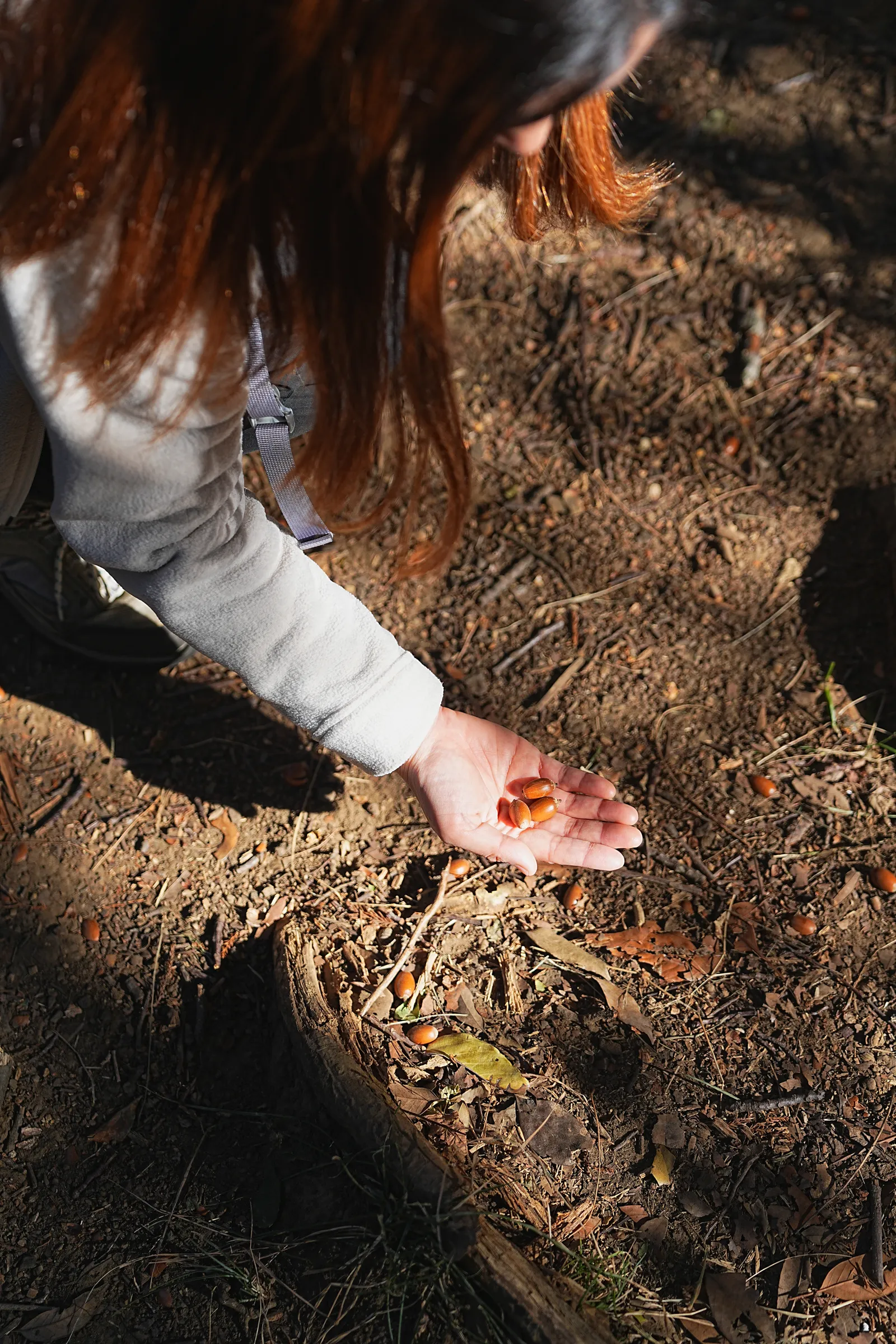 真っ青な海と富士山を眺める葉山・仙元山ハイキング