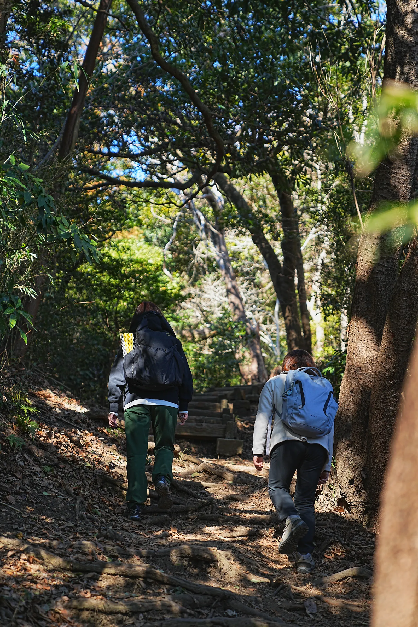 真っ青な海と富士山を眺める葉山・仙元山ハイキング
