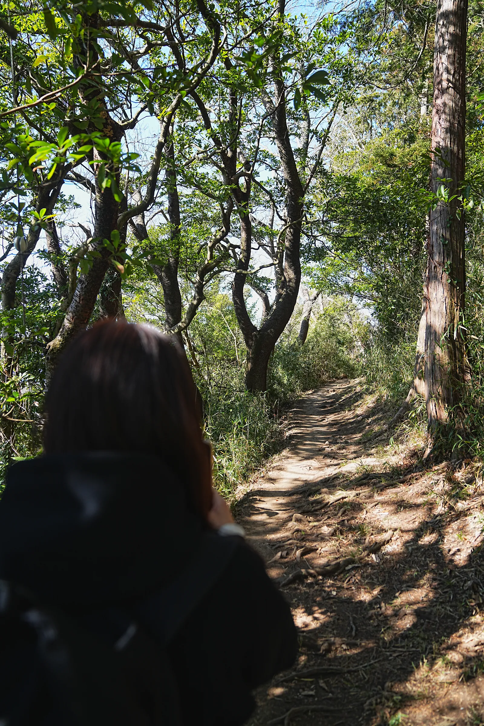 真っ青な海と富士山を眺める葉山・仙元山ハイキング