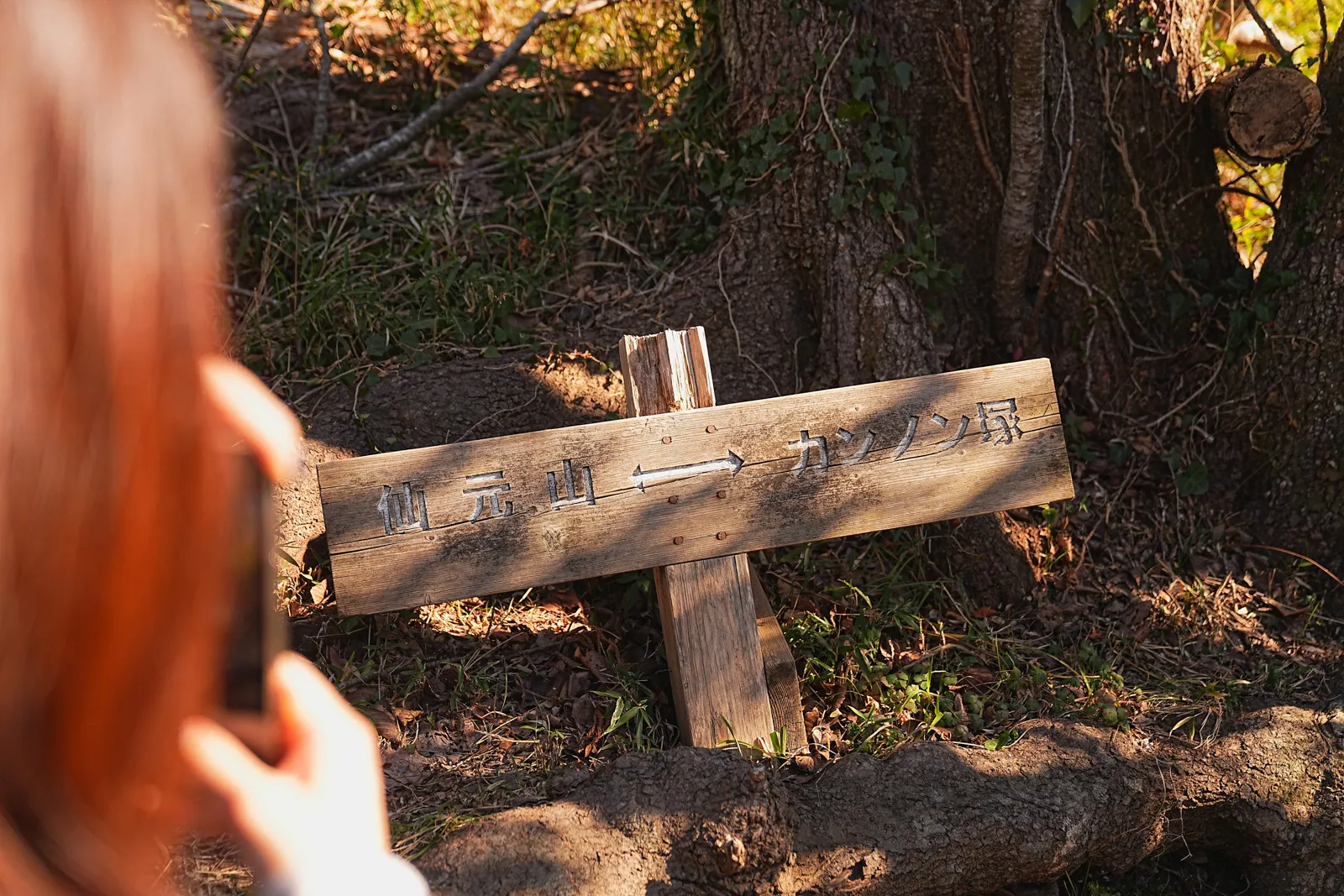 真っ青な海と富士山を眺める葉山・仙元山ハイキング