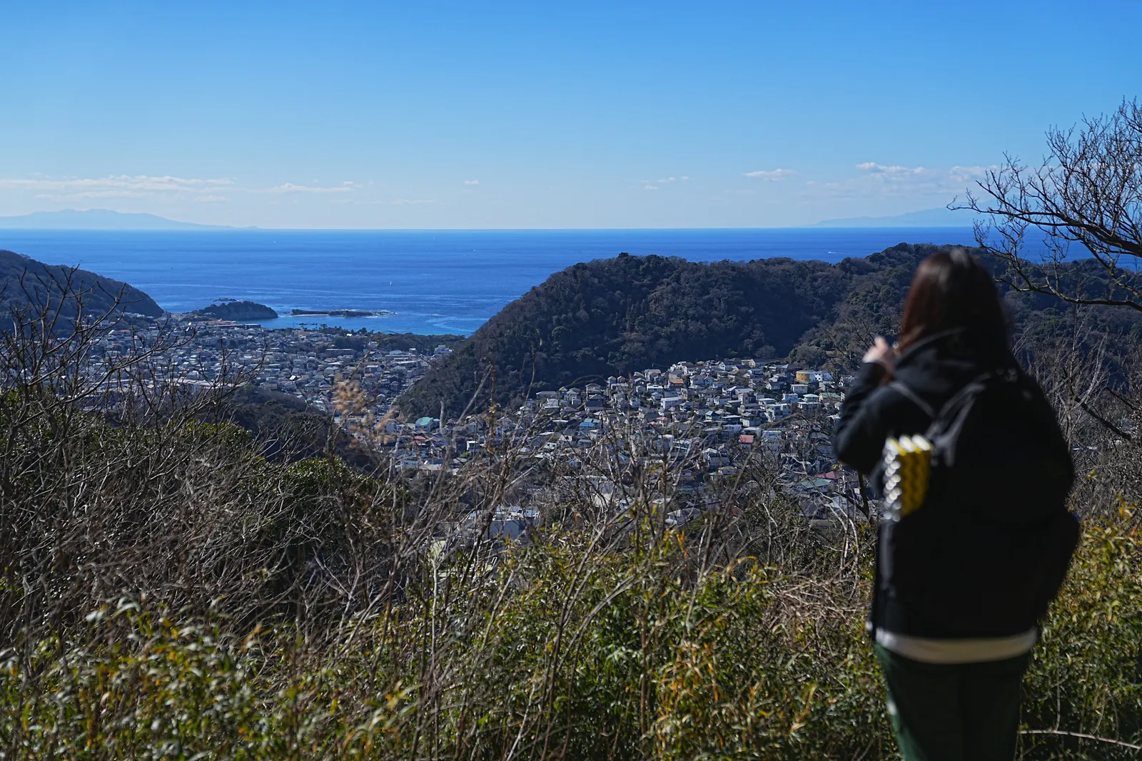 真っ青な海と富士山を眺める葉山・仙元山ハイキング