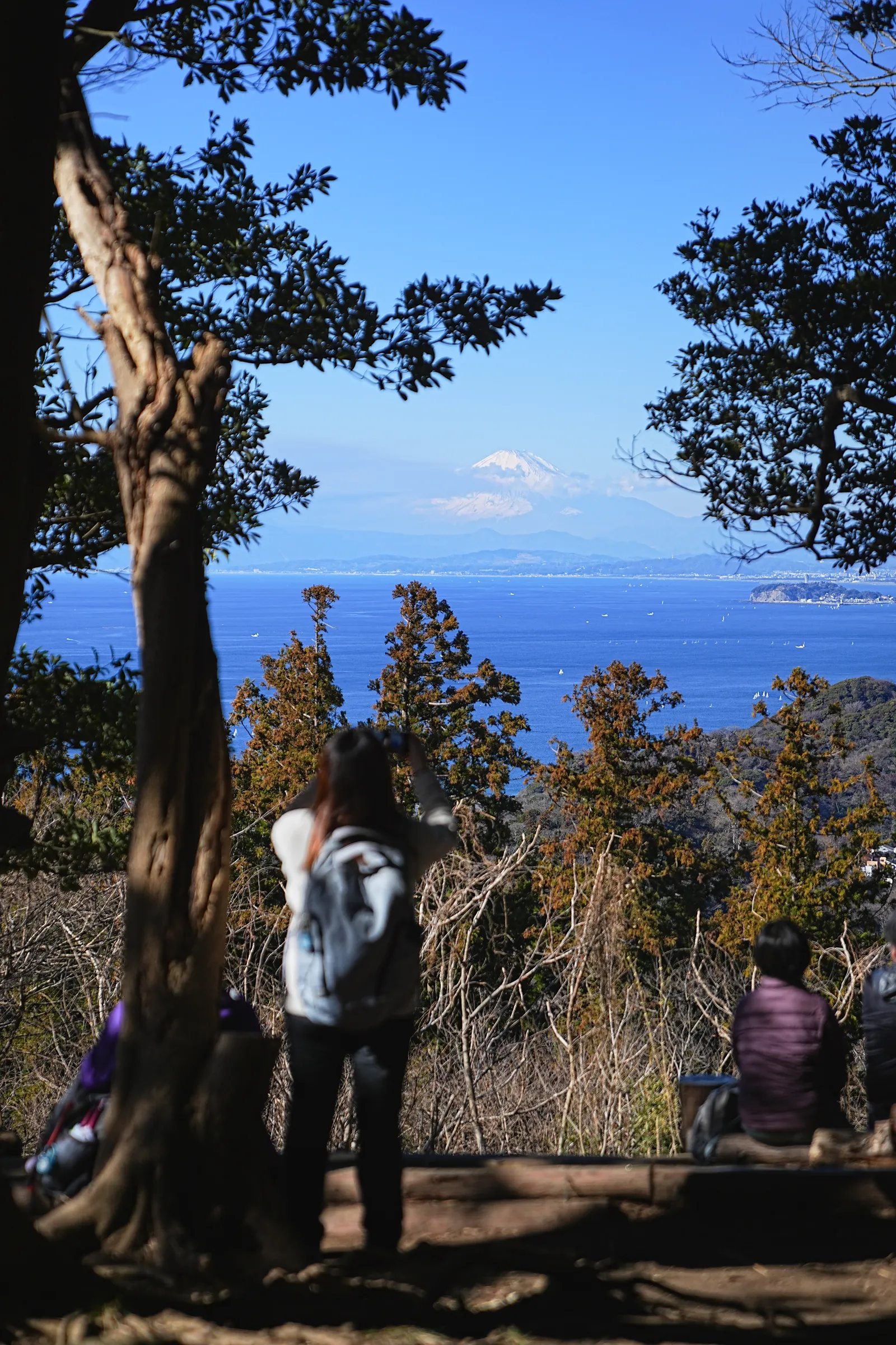真っ青な海と富士山を眺める葉山・仙元山ハイキング
