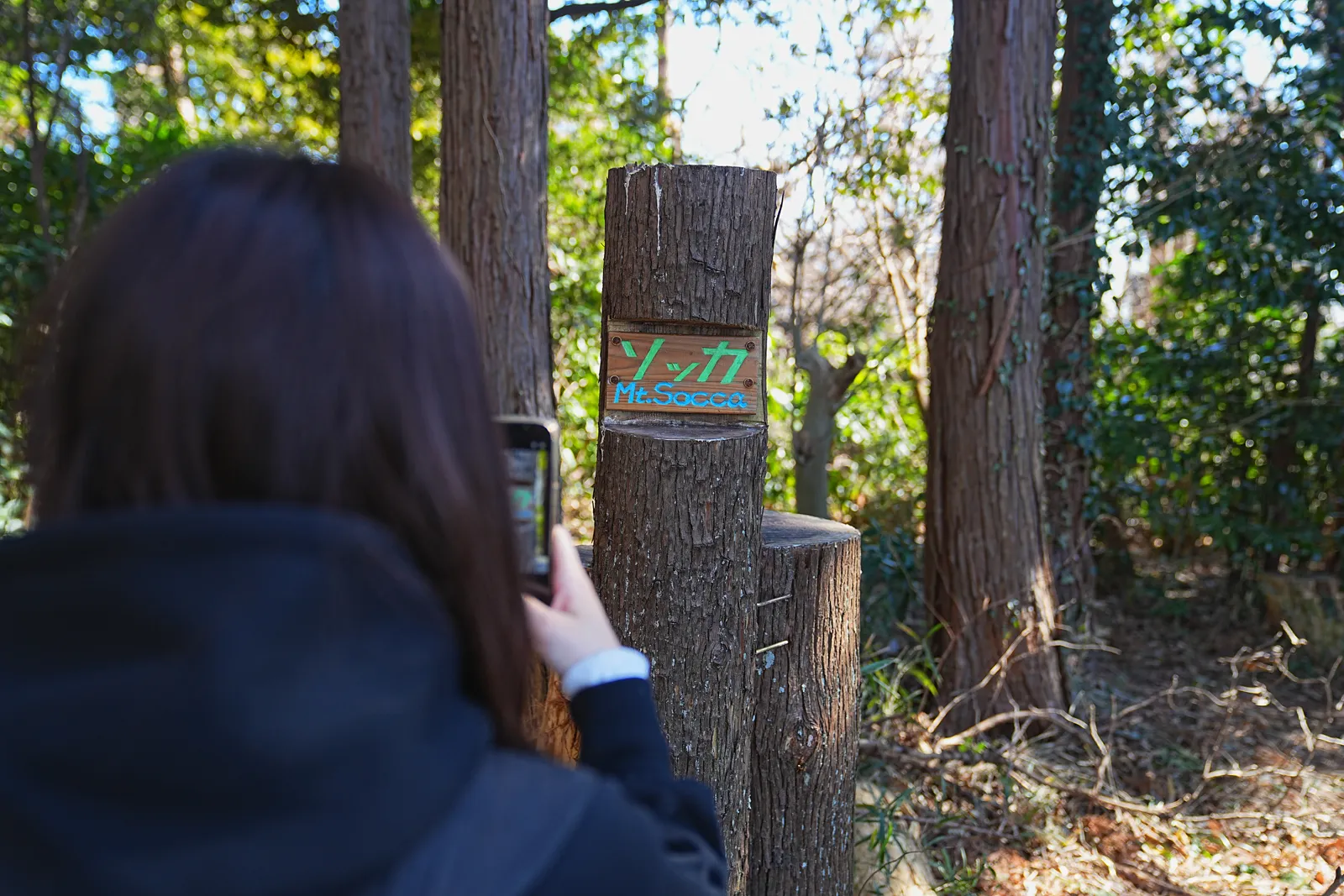 真っ青な海と富士山を眺める葉山・仙元山ハイキング