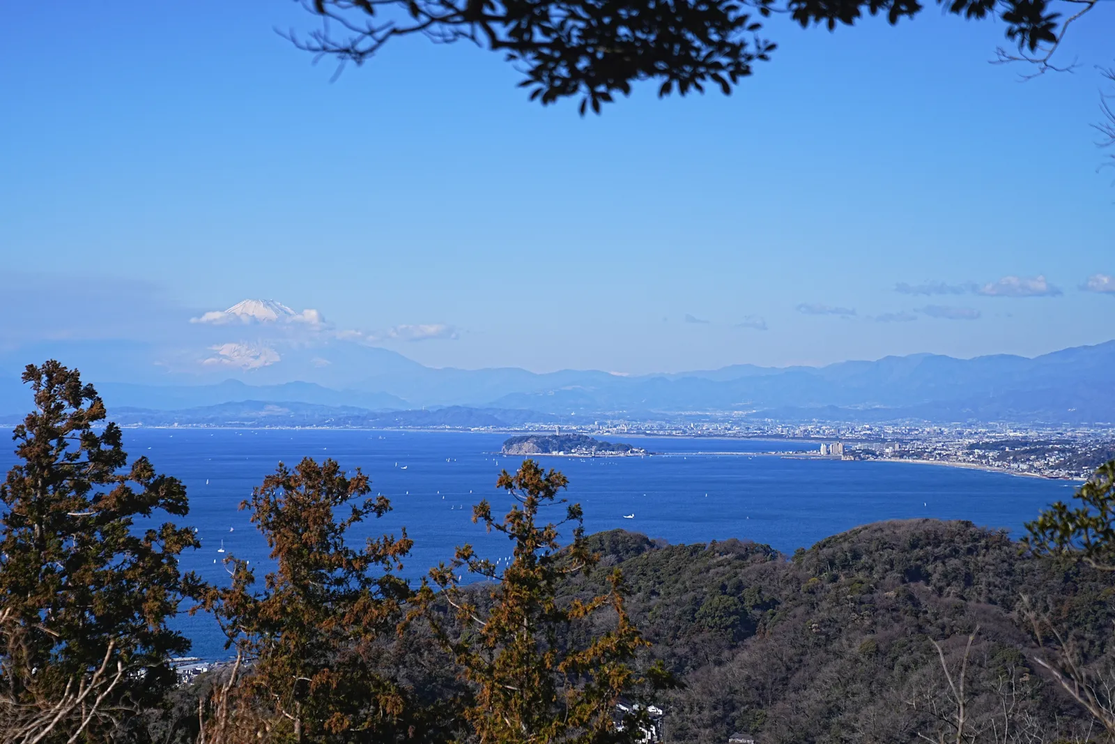 真っ青な海と富士山を眺める葉山・仙元山ハイキング