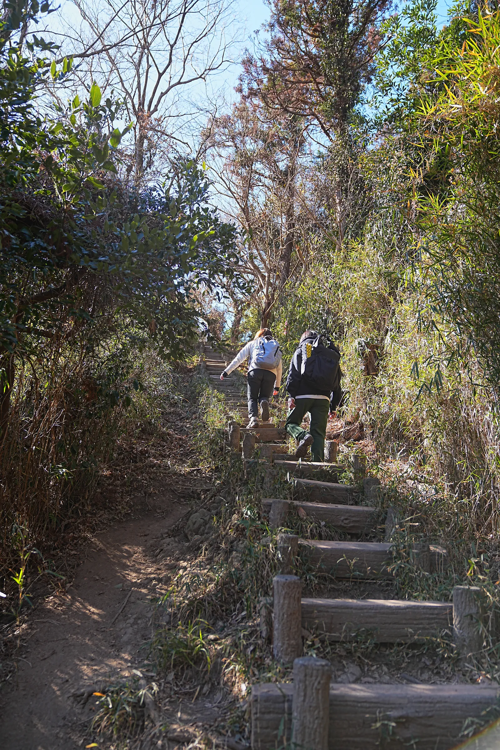 真っ青な海と富士山を眺める葉山・仙元山ハイキング