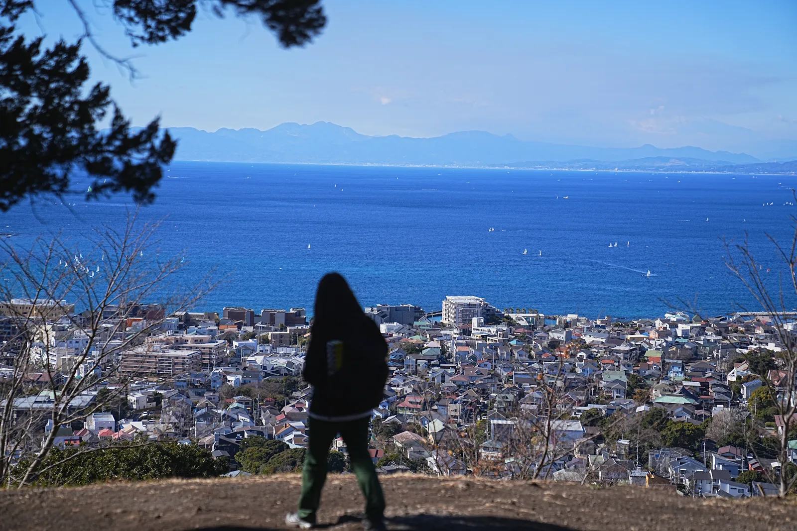 真っ青な海と富士山を眺める葉山・仙元山ハイキング