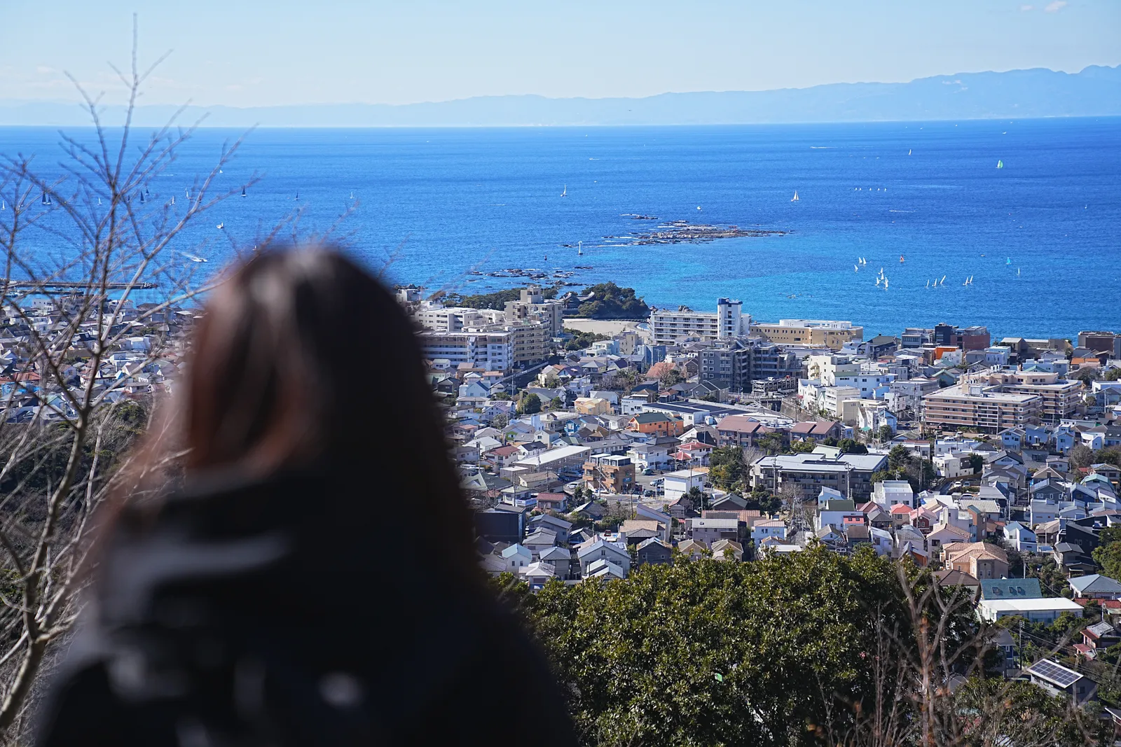 真っ青な海と富士山を眺める葉山・仙元山ハイキング