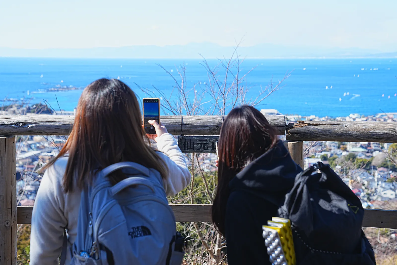 真っ青な海と富士山を眺める葉山・仙元山ハイキング