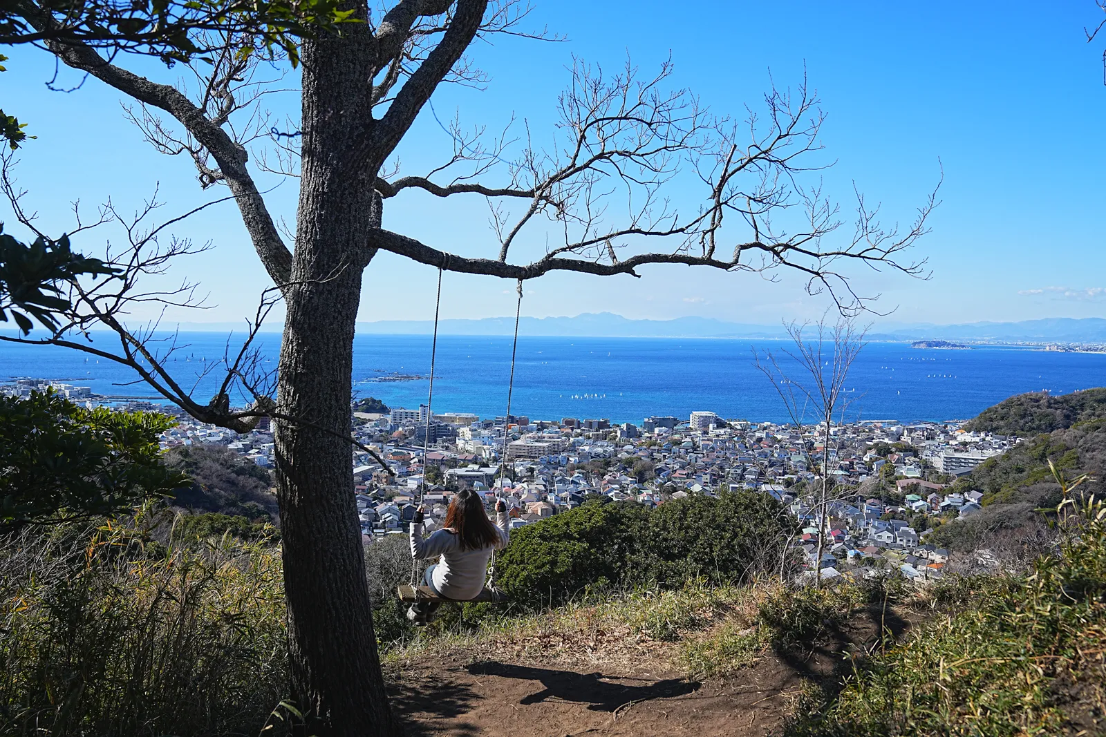 真っ青な海と富士山を眺める葉山・仙元山ハイキング