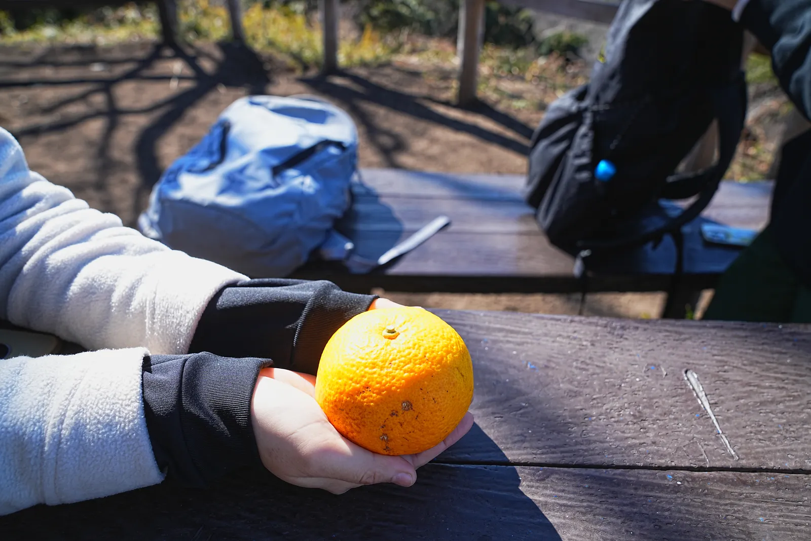 真っ青な海と富士山を眺める葉山・仙元山ハイキング