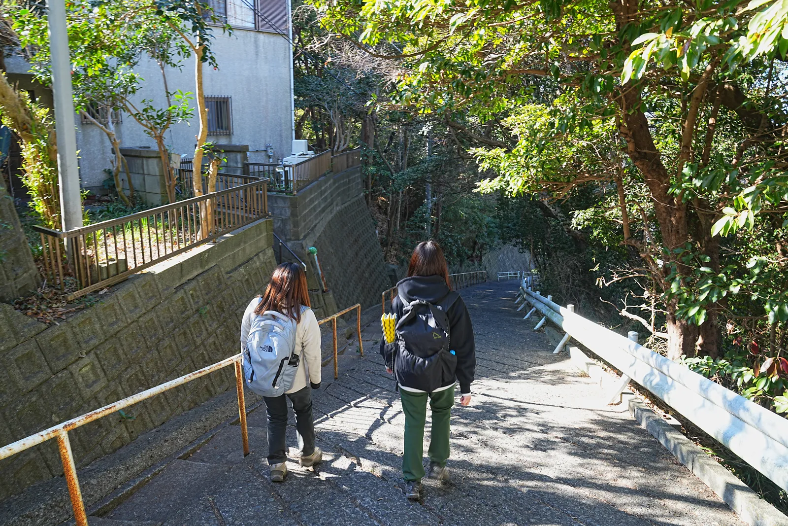 真っ青な海と富士山を眺める葉山・仙元山ハイキング