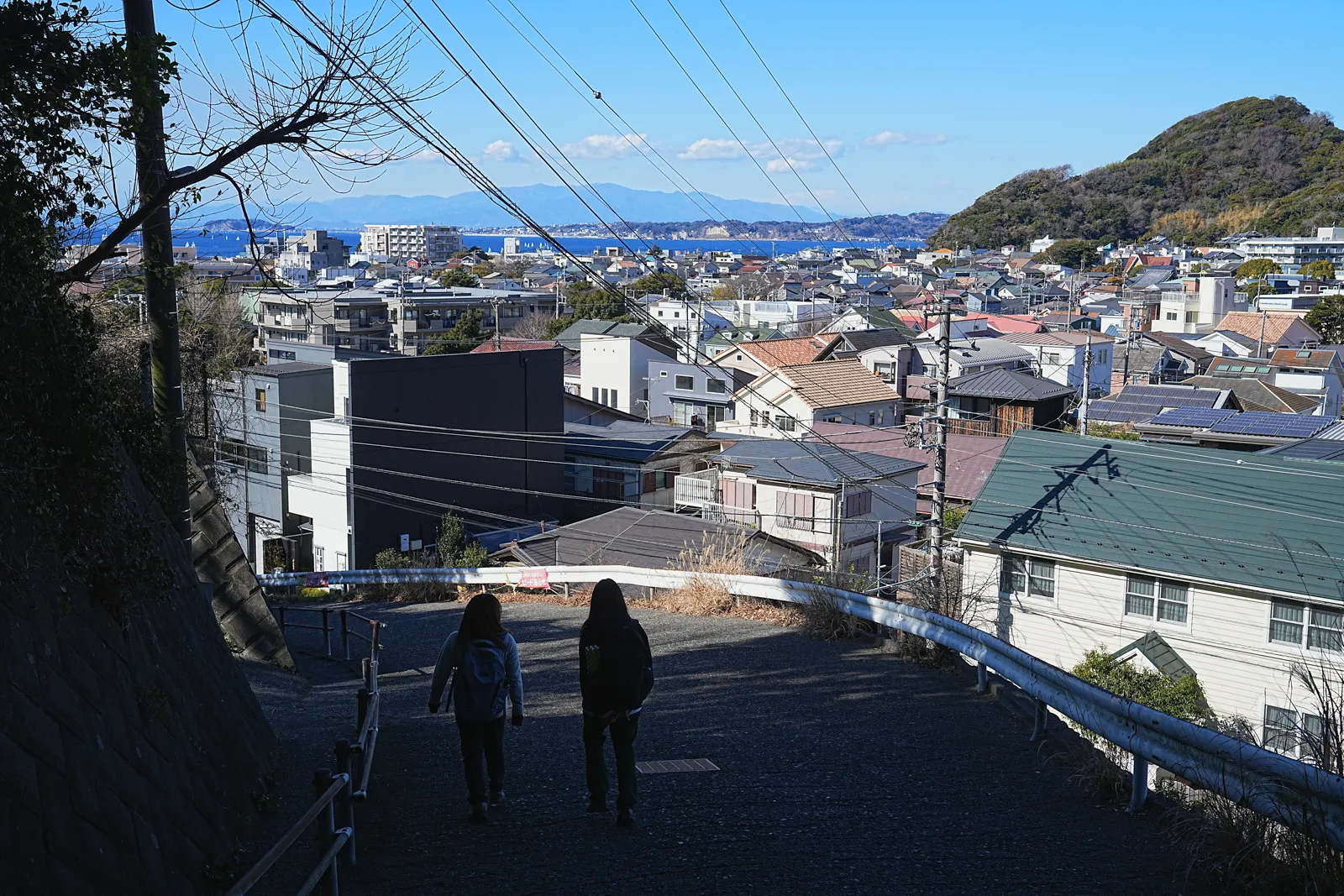 真っ青な海と富士山を眺める葉山・仙元山ハイキング