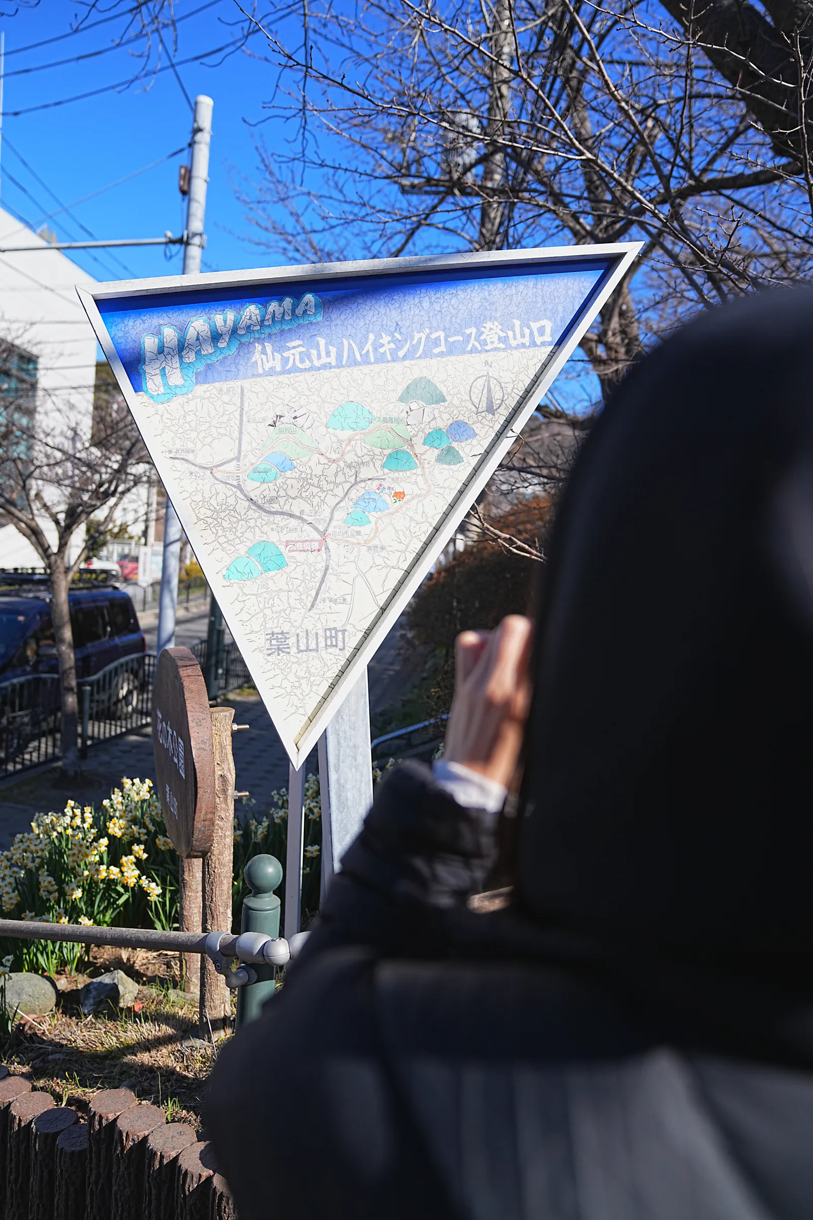 真っ青な海と富士山を眺める葉山・仙元山ハイキング