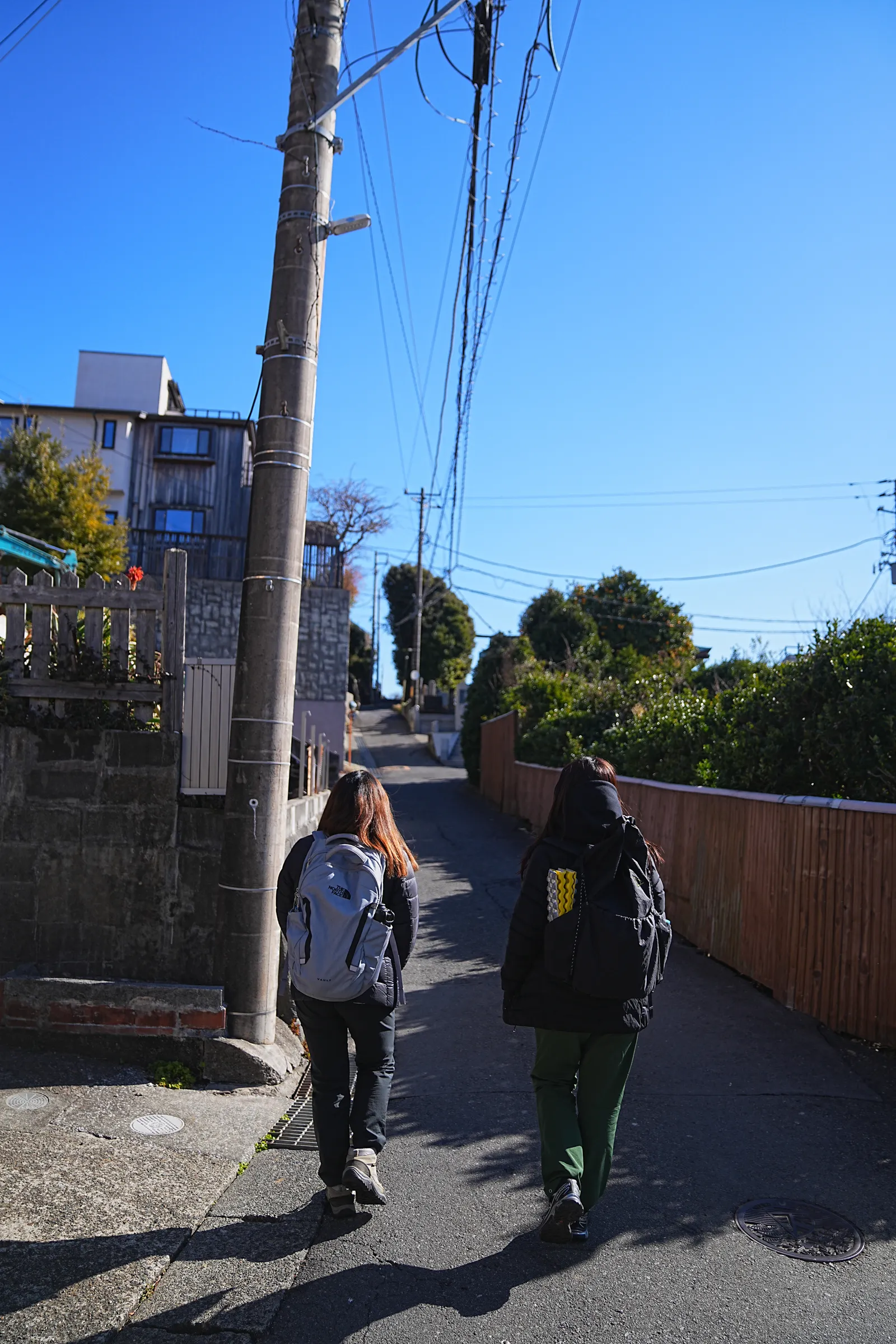 真っ青な海と富士山を眺める葉山・仙元山ハイキング