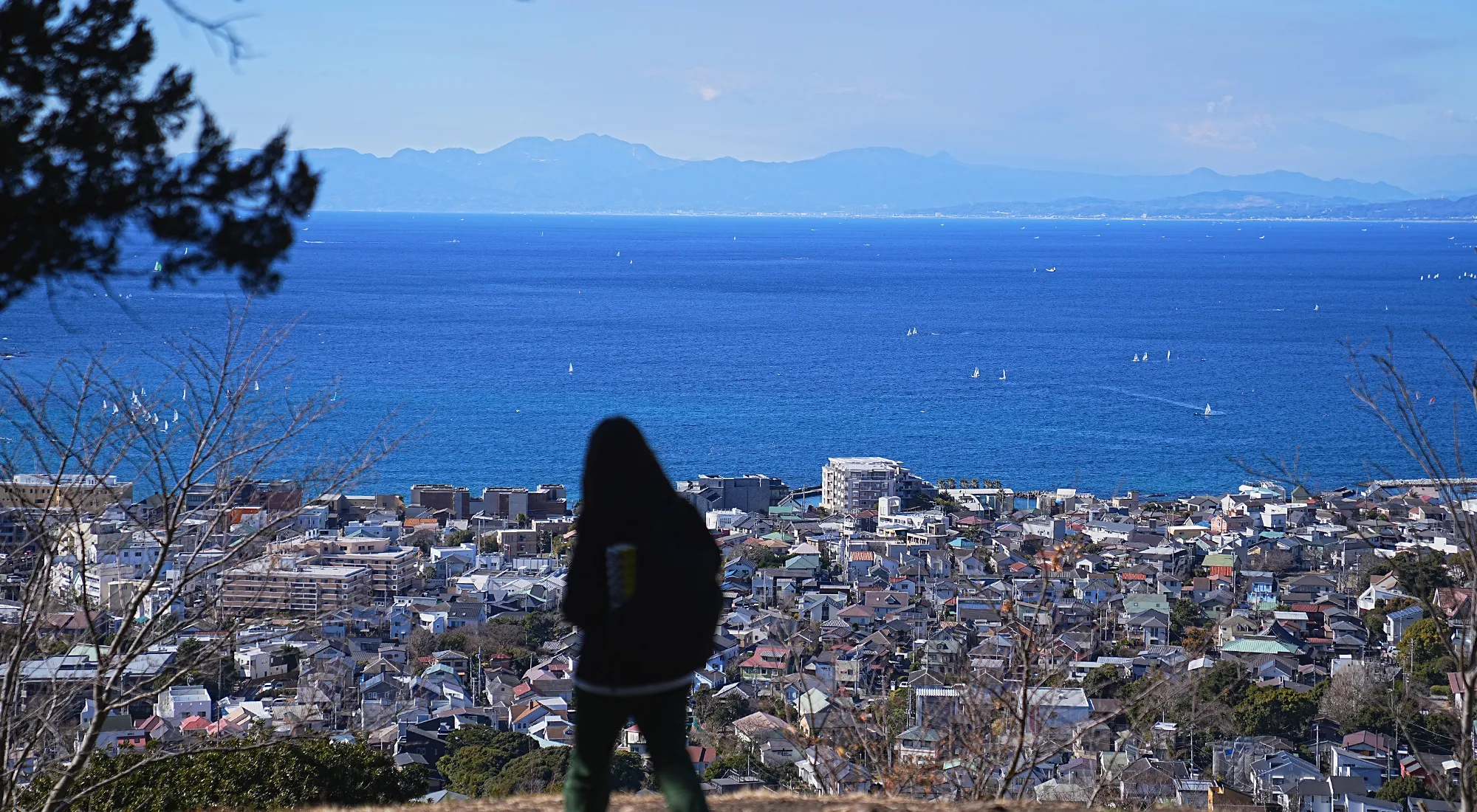 真っ青な海と富士山を眺める葉山・仙元山ハイキング