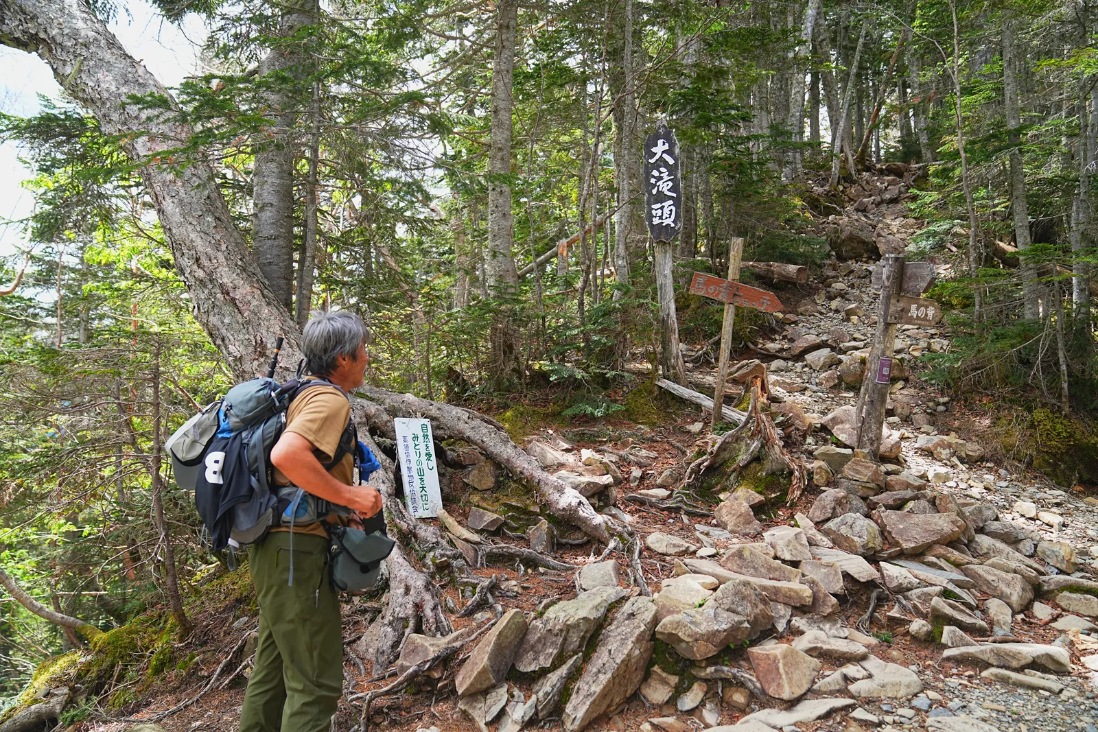南アルプスの女王「仙丈ヶ岳」日帰り登山