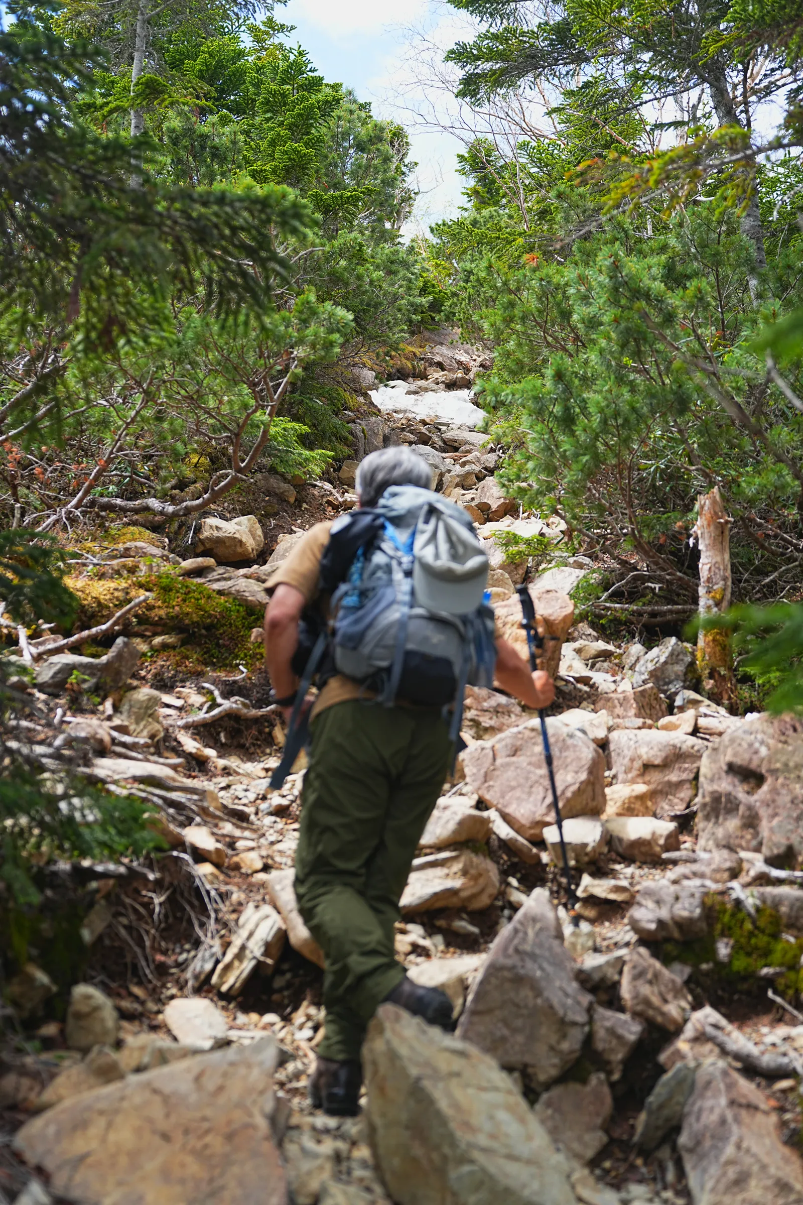 南アルプスの女王「仙丈ヶ岳」日帰り登山