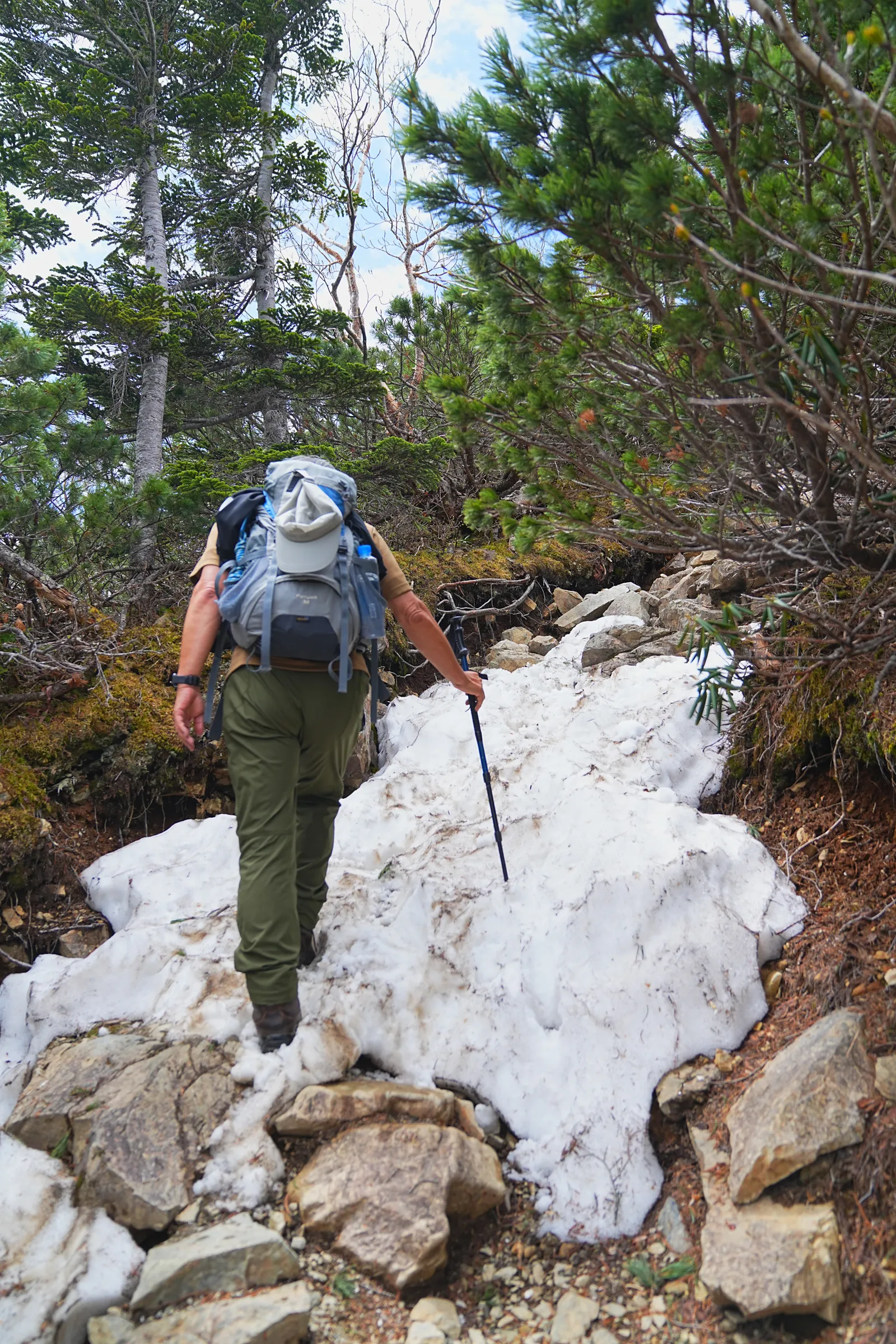 南アルプスの女王「仙丈ヶ岳」日帰り登山
