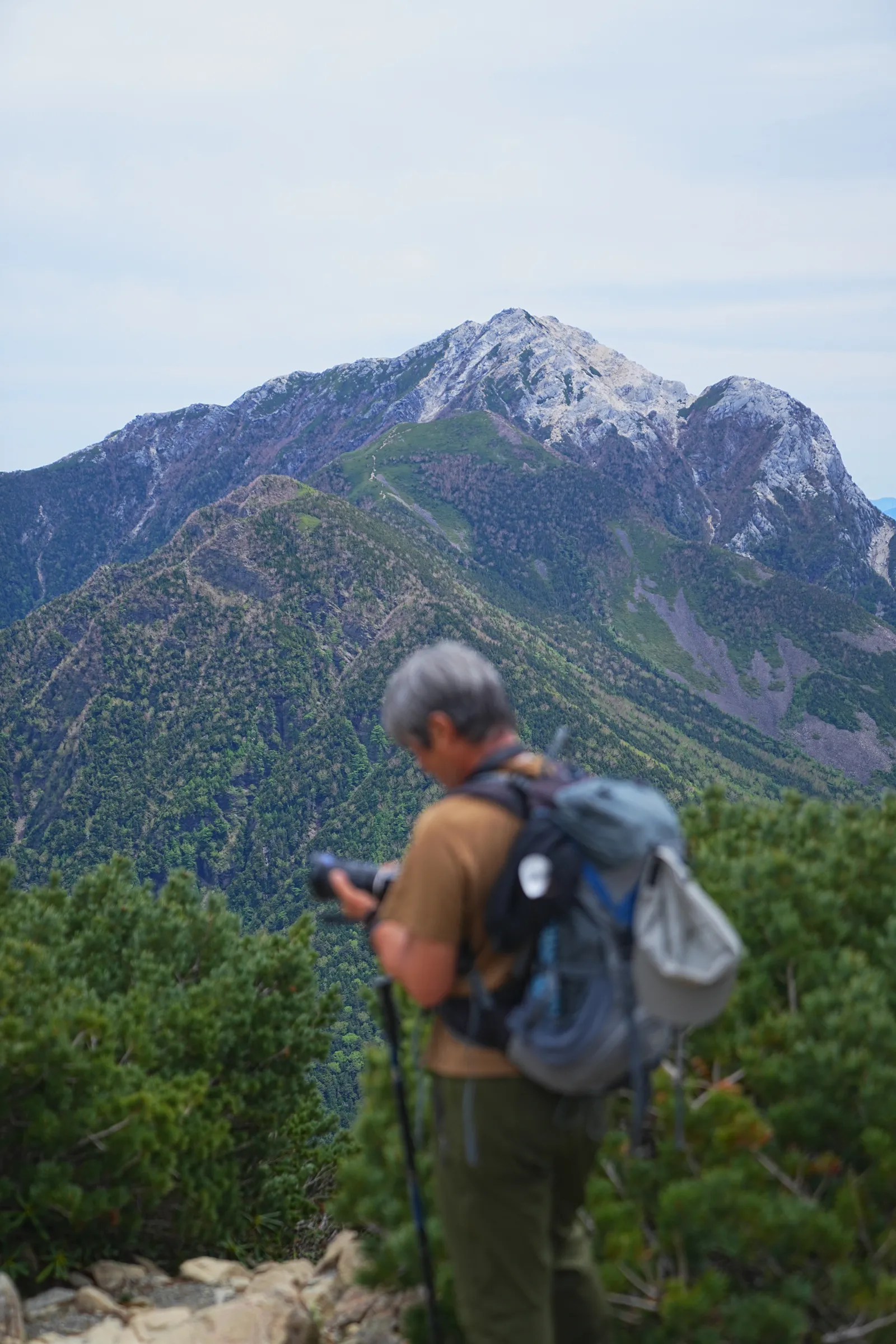南アルプスの女王「仙丈ヶ岳」日帰り登山