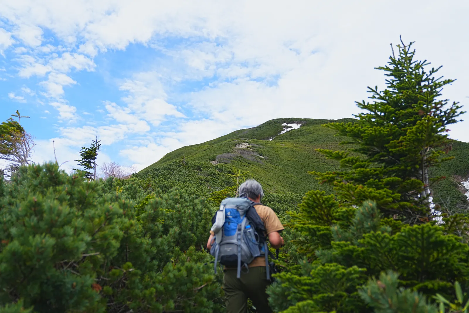 南アルプスの女王「仙丈ヶ岳」日帰り登山