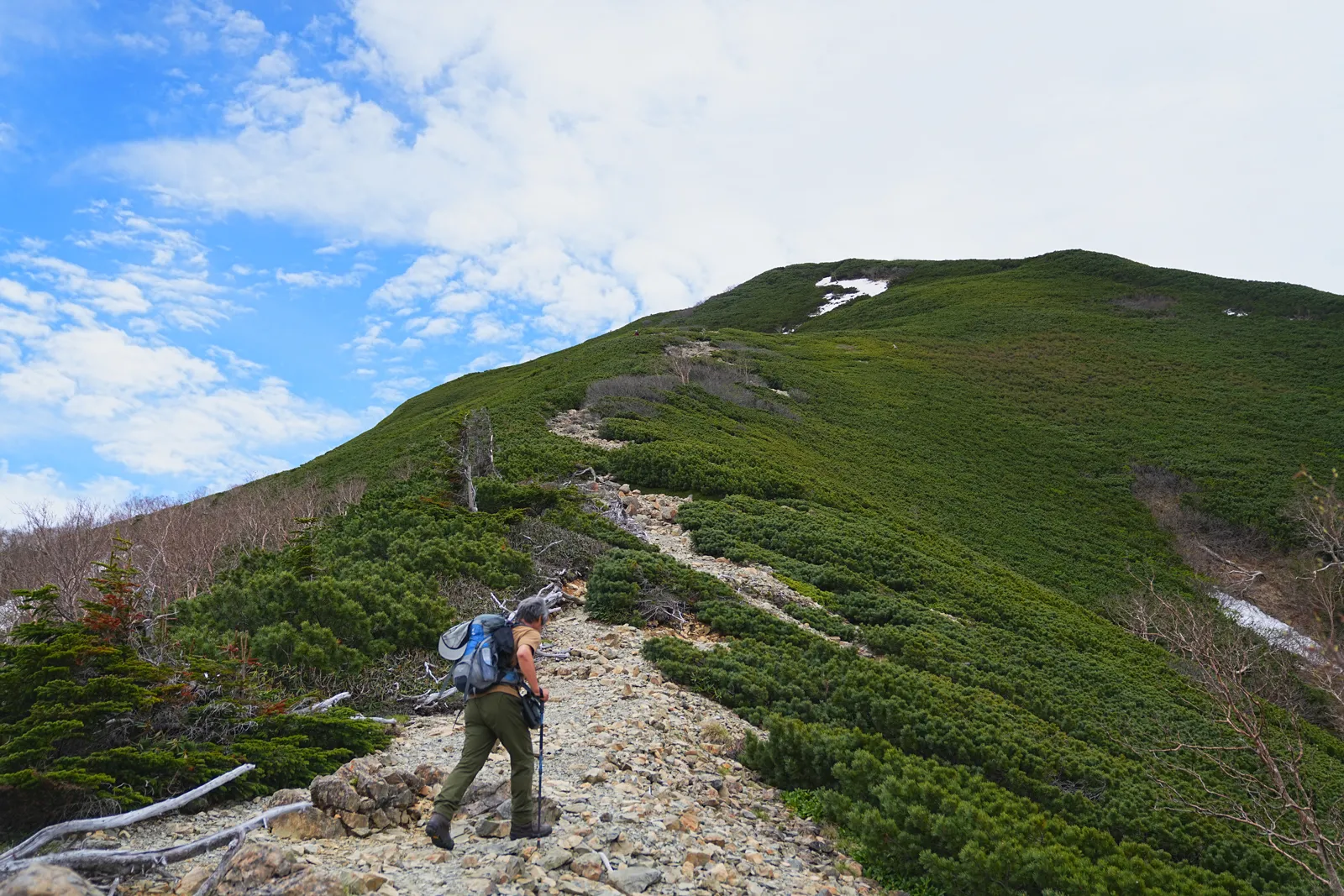 南アルプスの女王「仙丈ヶ岳」日帰り登山