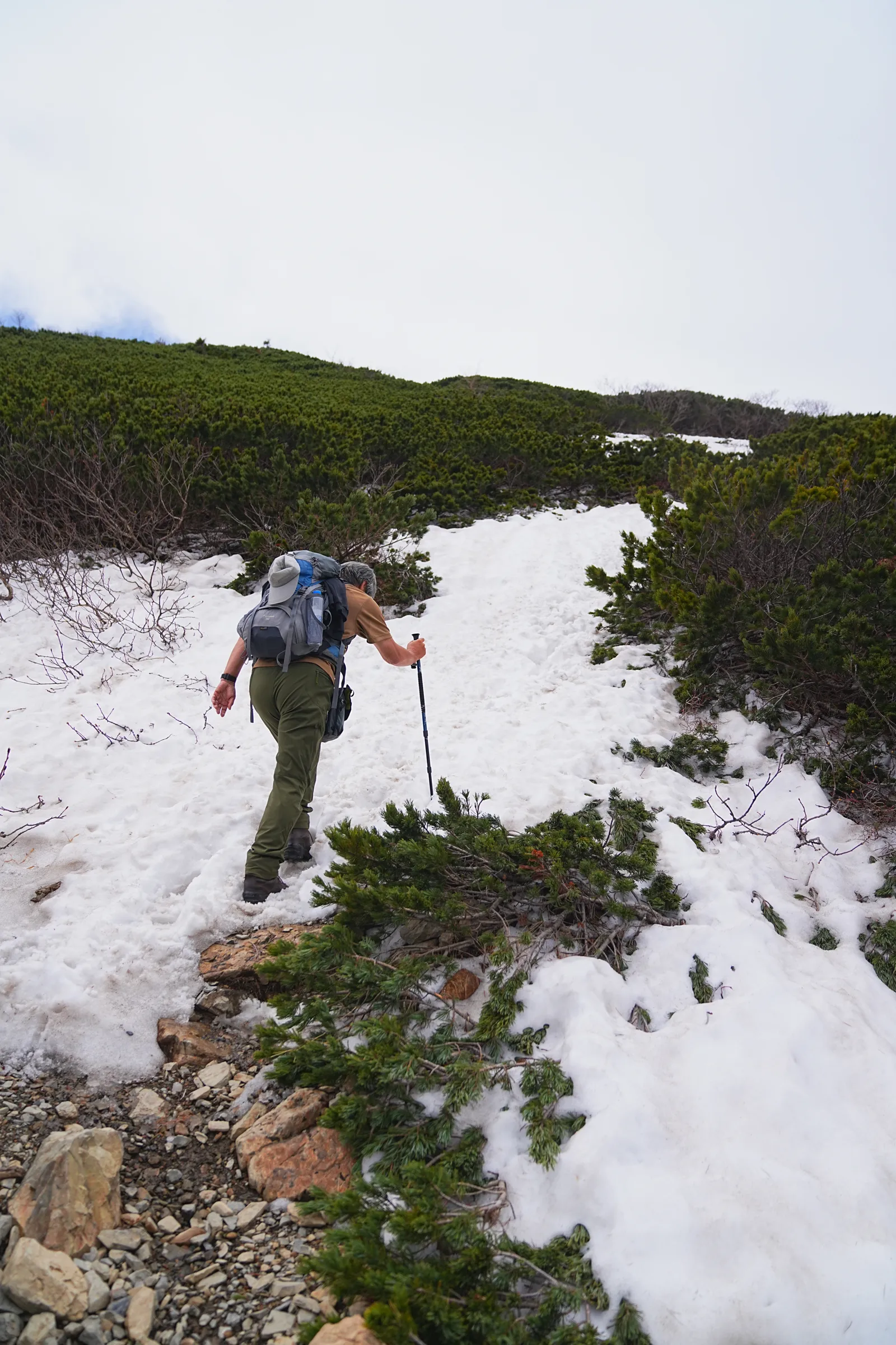 南アルプスの女王「仙丈ヶ岳」日帰り登山