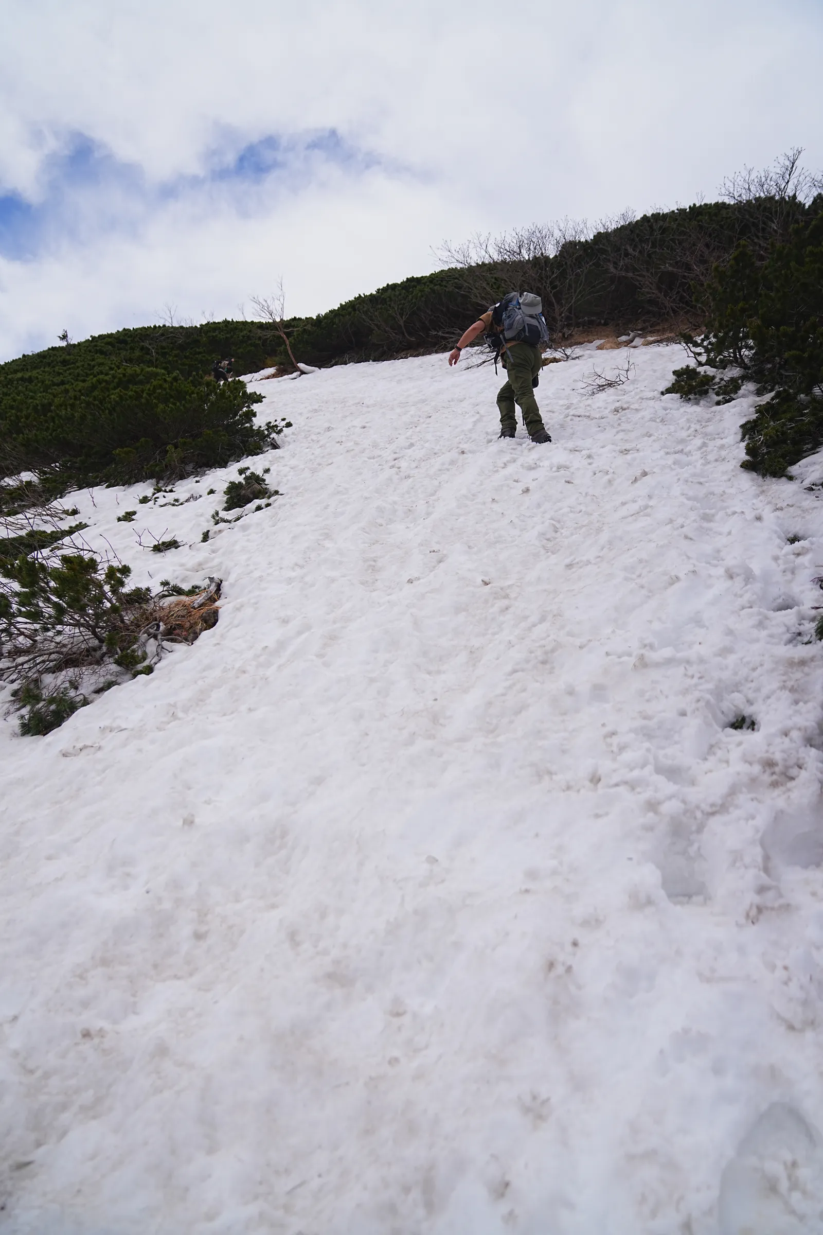 南アルプスの女王「仙丈ヶ岳」日帰り登山
