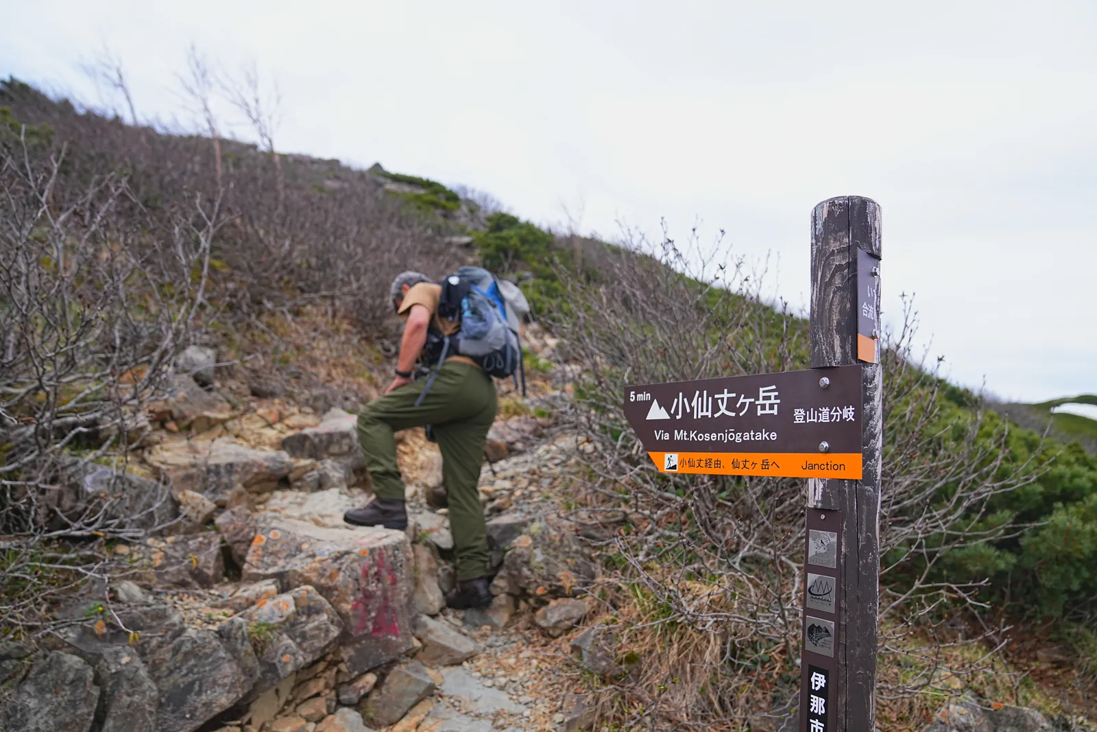 南アルプスの女王「仙丈ヶ岳」日帰り登山