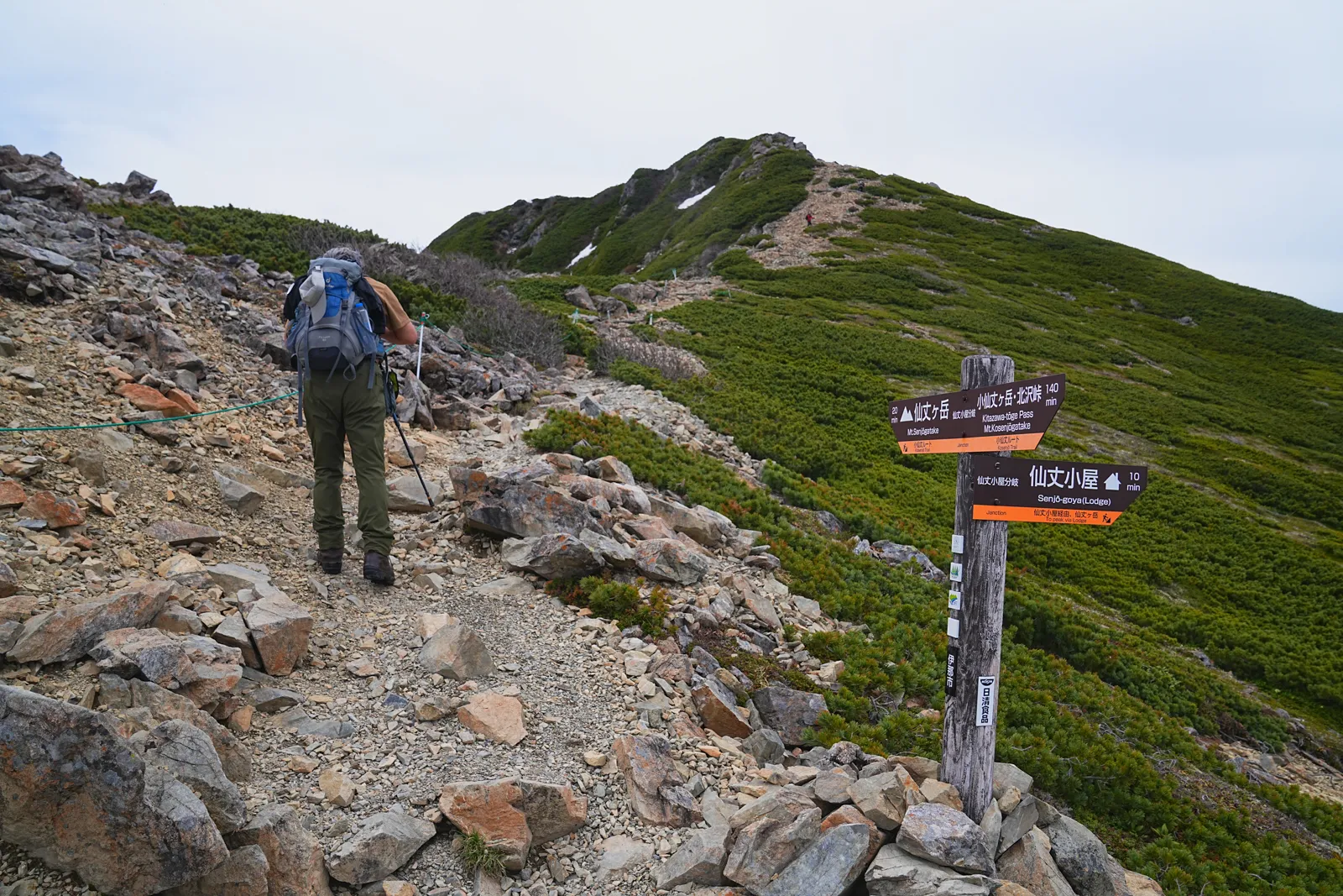 南アルプスの女王「仙丈ヶ岳」日帰り登山