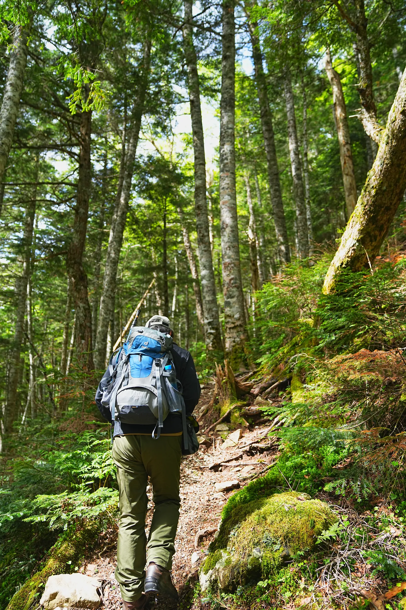 南アルプスの女王「仙丈ヶ岳」日帰り登山