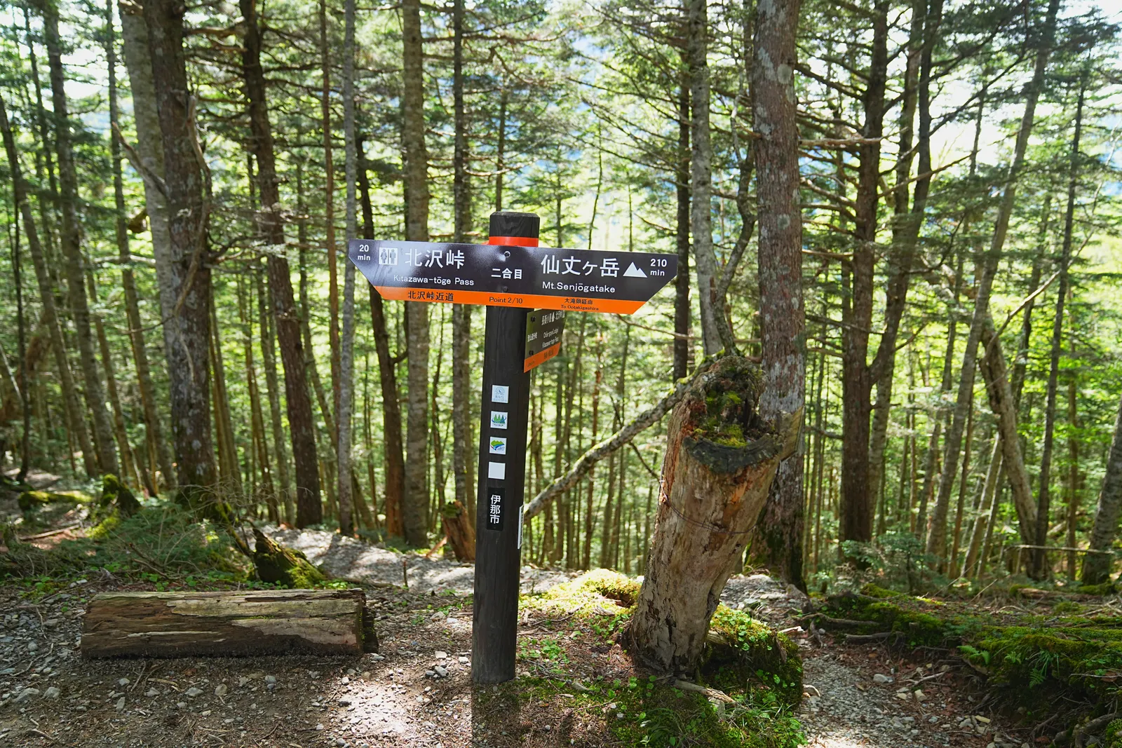 南アルプスの女王「仙丈ヶ岳」日帰り登山