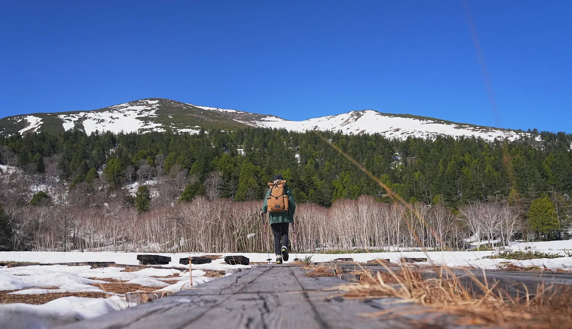 GWの尾瀬・至仏山、残雪登山！