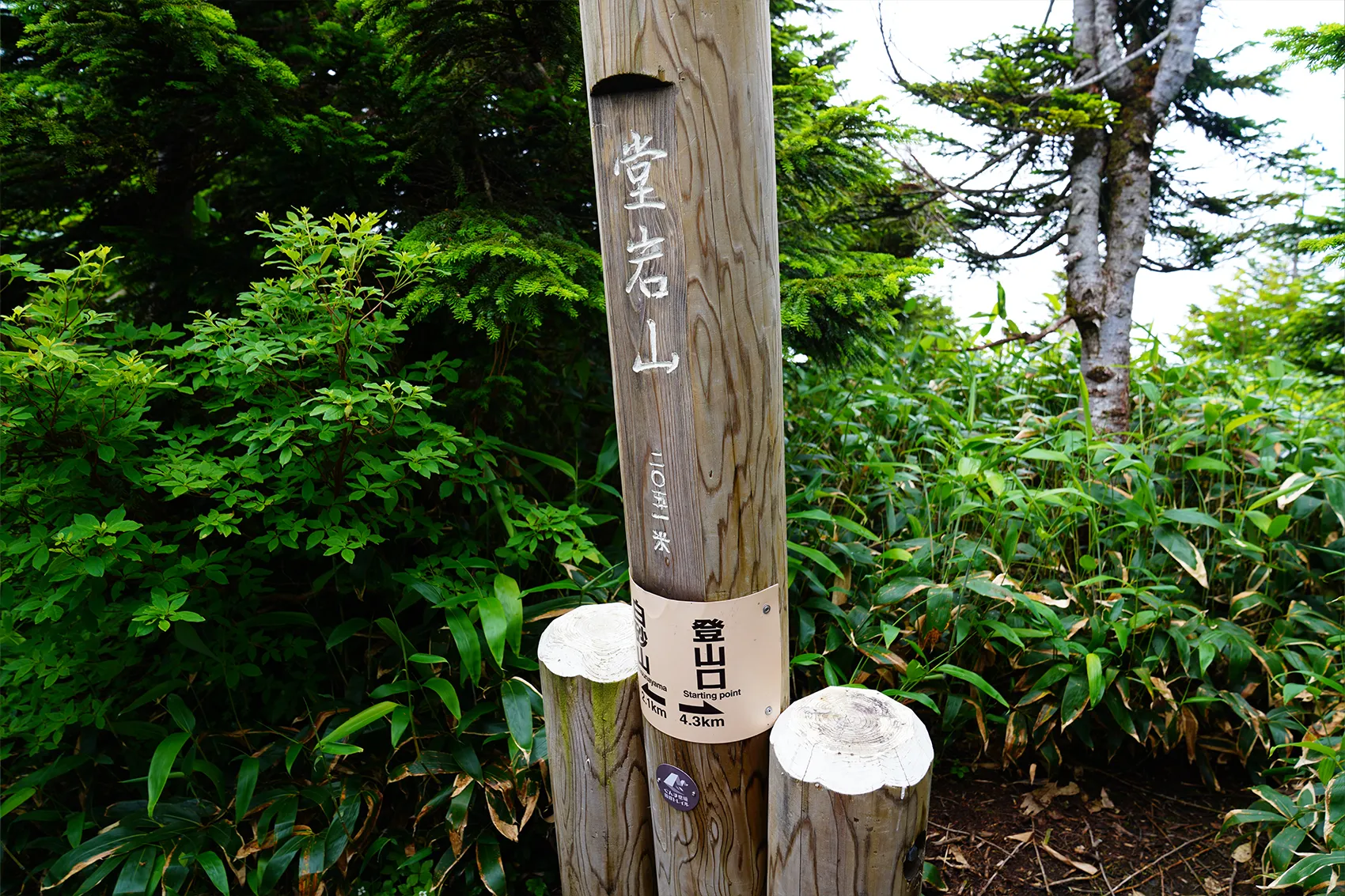 白砂山 ニッコウキスゲ登山