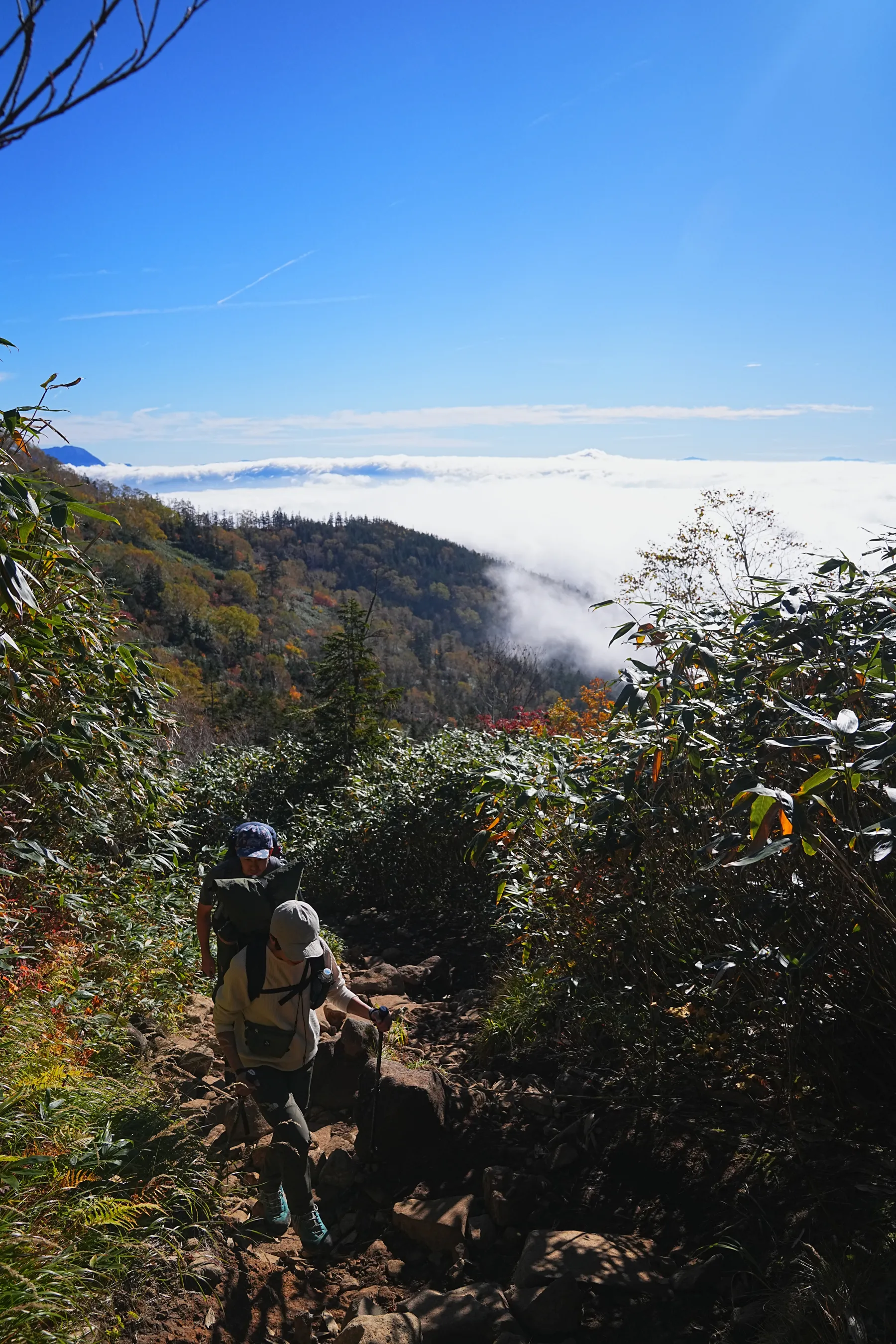 秋の白馬岳 白馬山荘で1泊2日登山