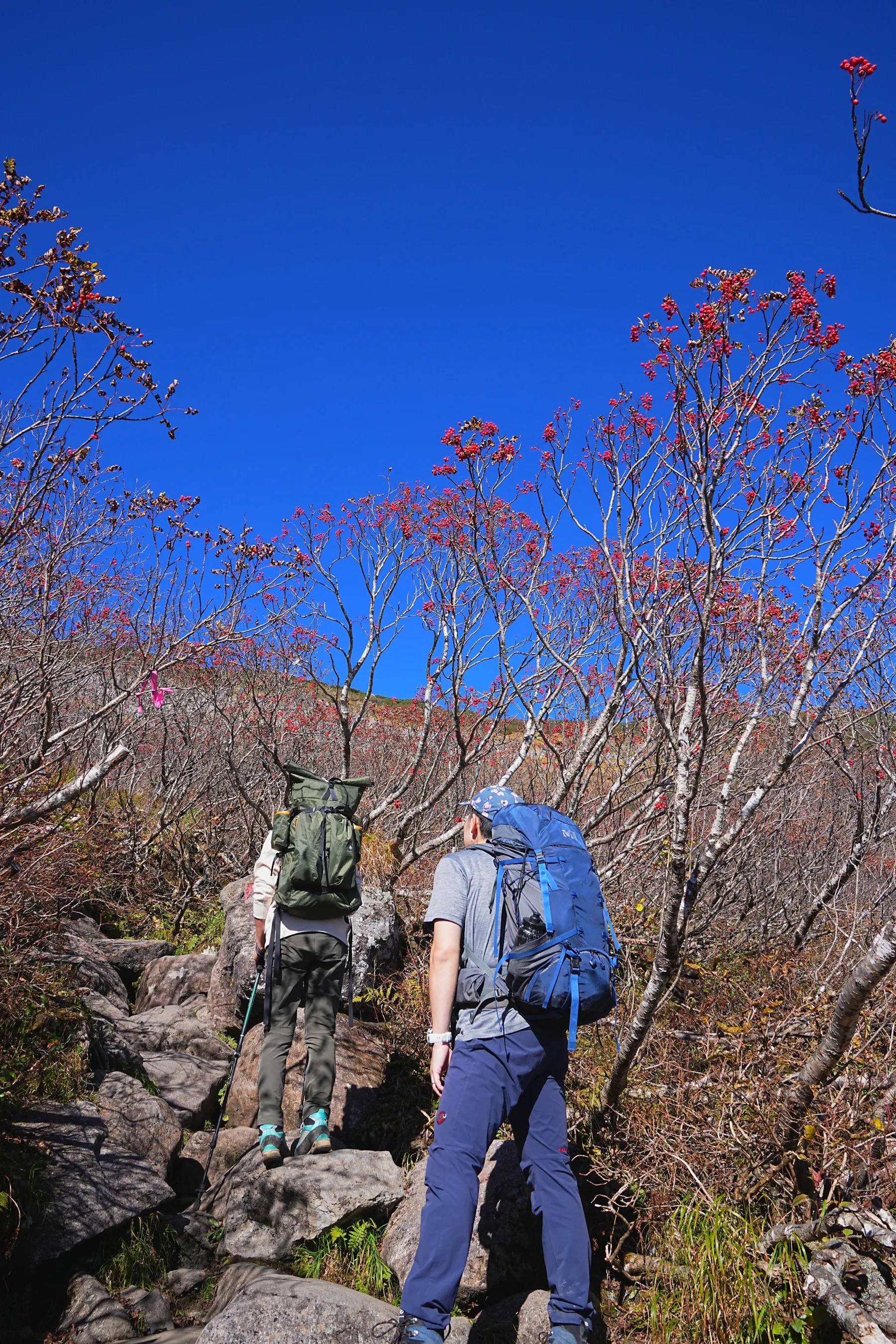 秋の白馬岳 白馬山荘で1泊2日登山