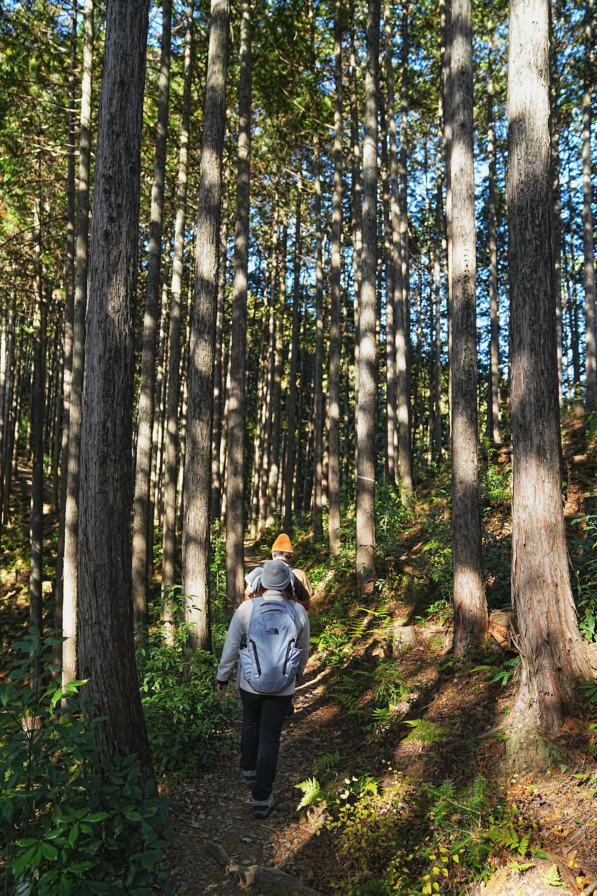 奥多摩・惣岳山へ、のんびりハイキング。