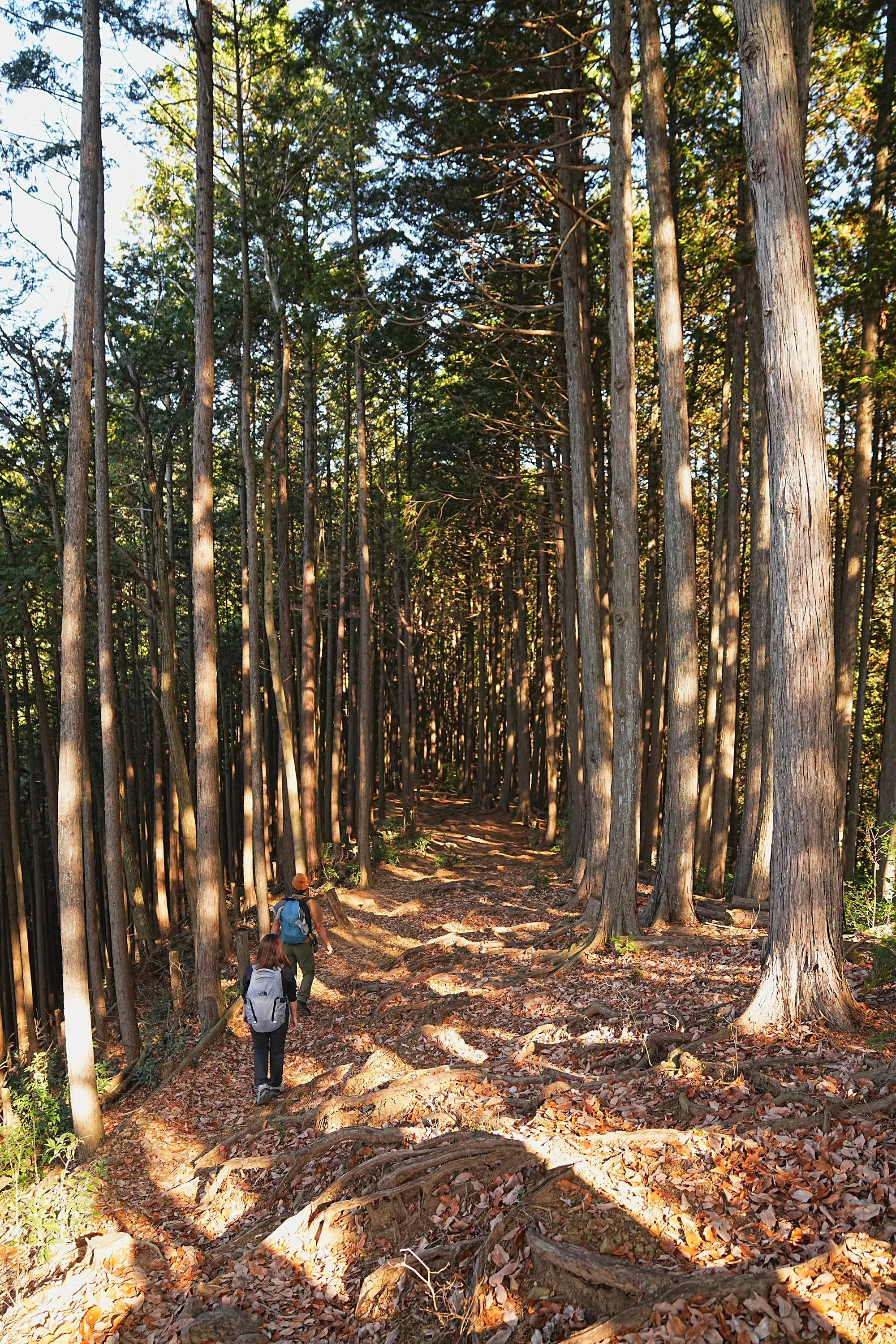 奥多摩・惣岳山へ、のんびりハイキング。